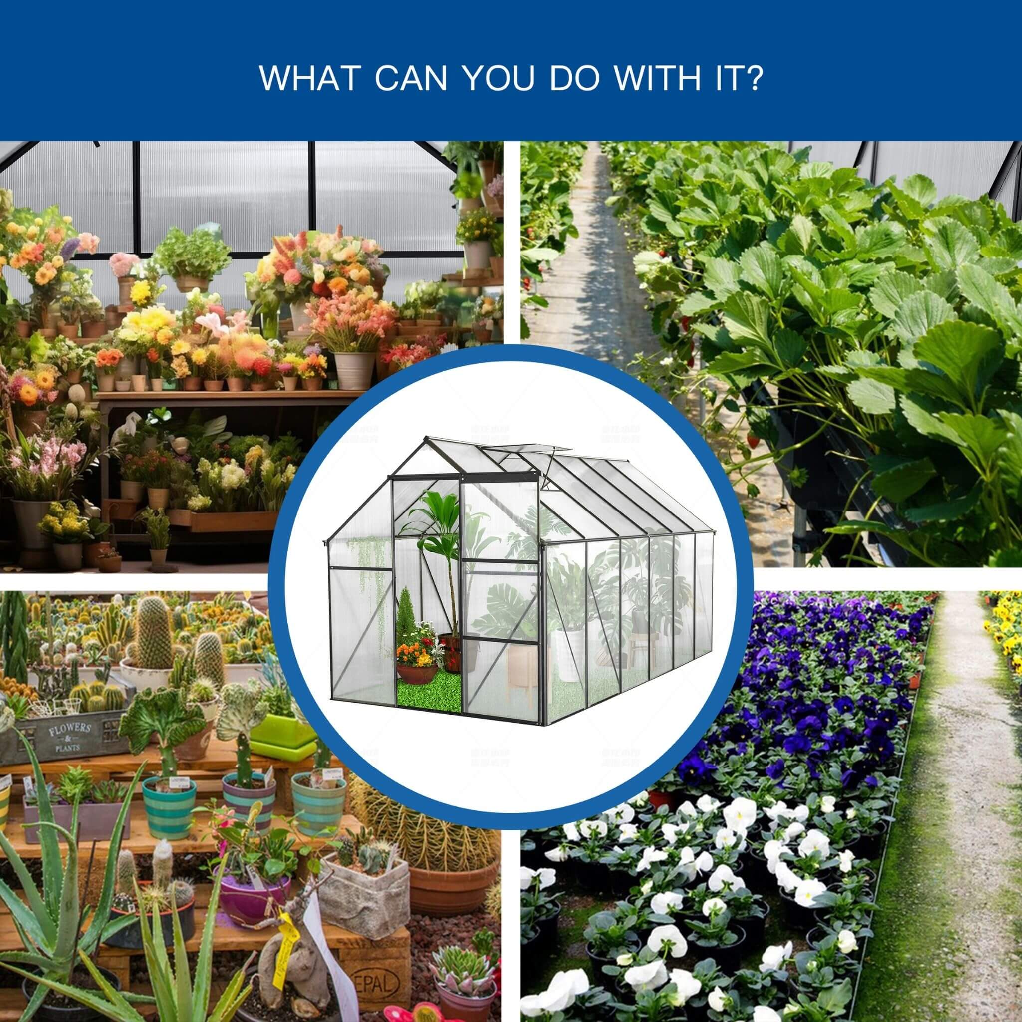 [06X12FT] Alora Heavy-Duty Black Polycarbonate Greenhouse With Raised Base And Anchor (SAK92451) - Image 5