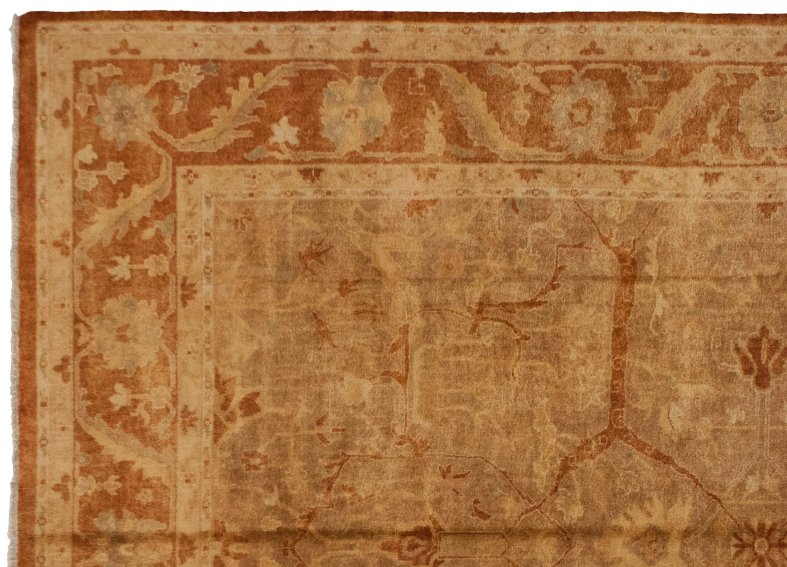 10x13.5 New Gold Wash Indian Oushak Design Carpet - Image 4