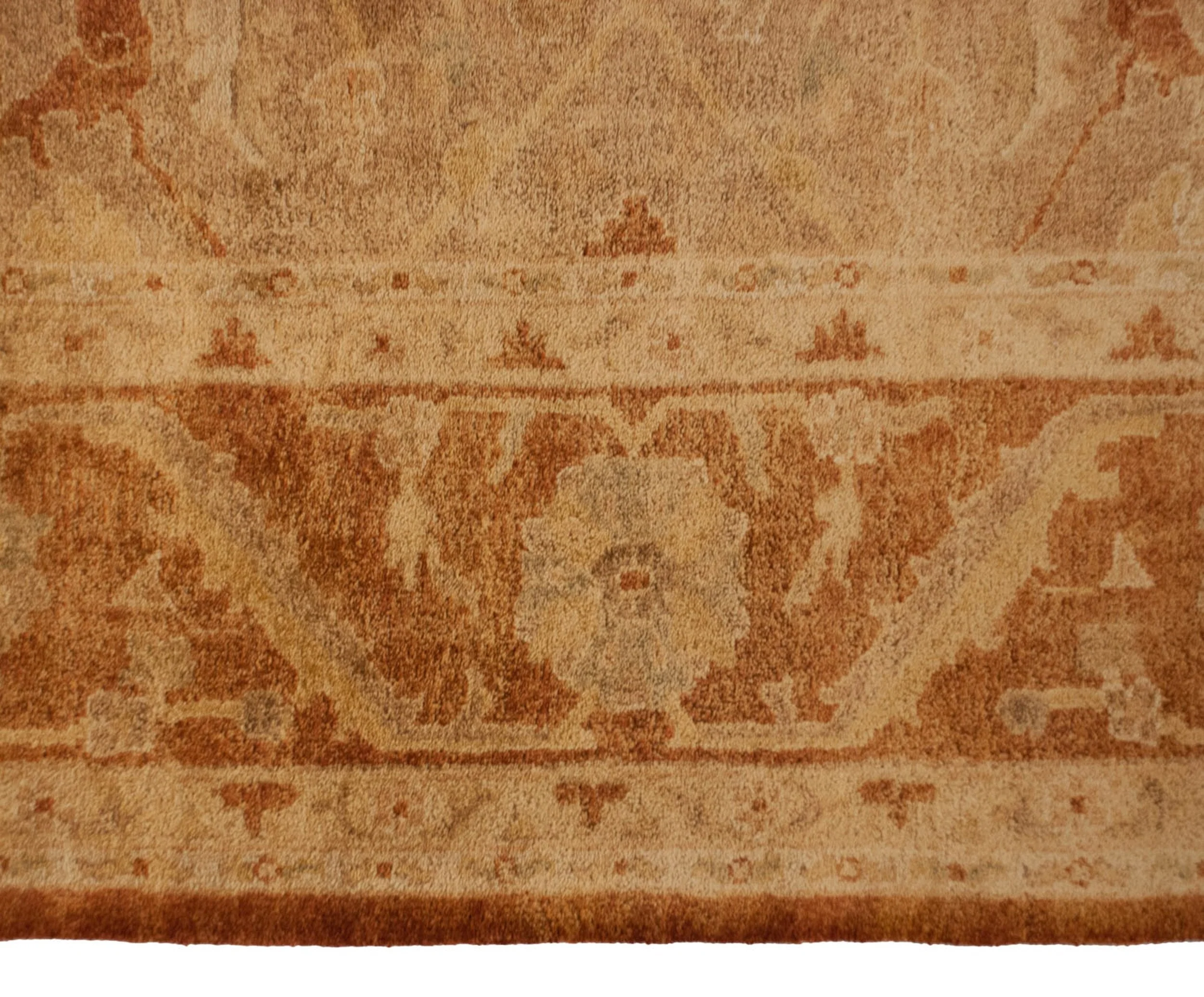 10x13.5 New Gold Wash Indian Oushak Design Carpet - Image 6