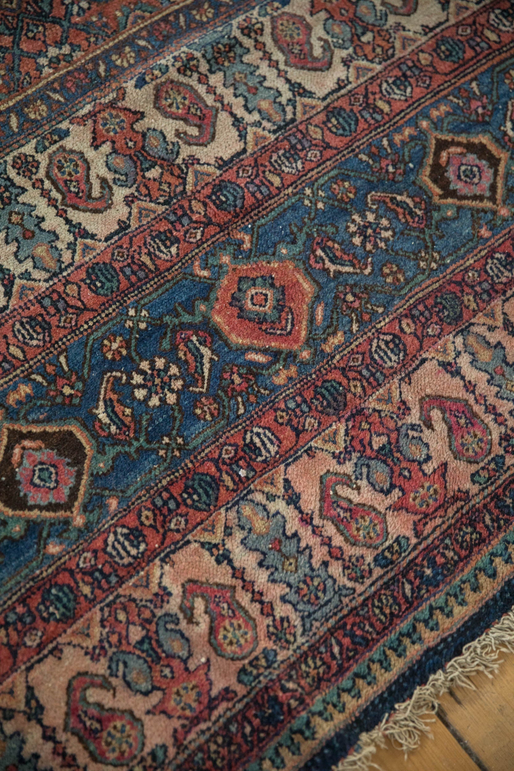 RESERVED 11.5x17 Vintage Bibikabad Carpet - Image 13