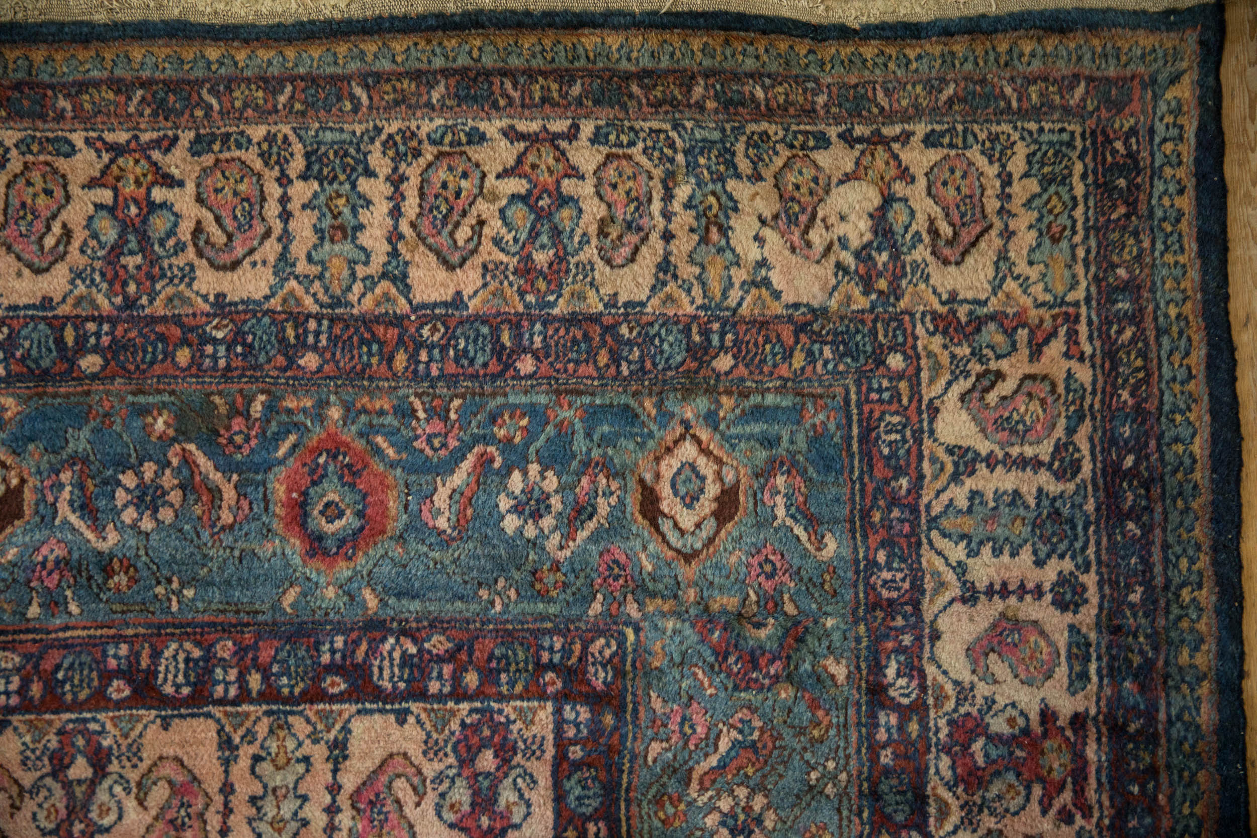 RESERVED 11.5x17 Vintage Bibikabad Carpet - Image 3
