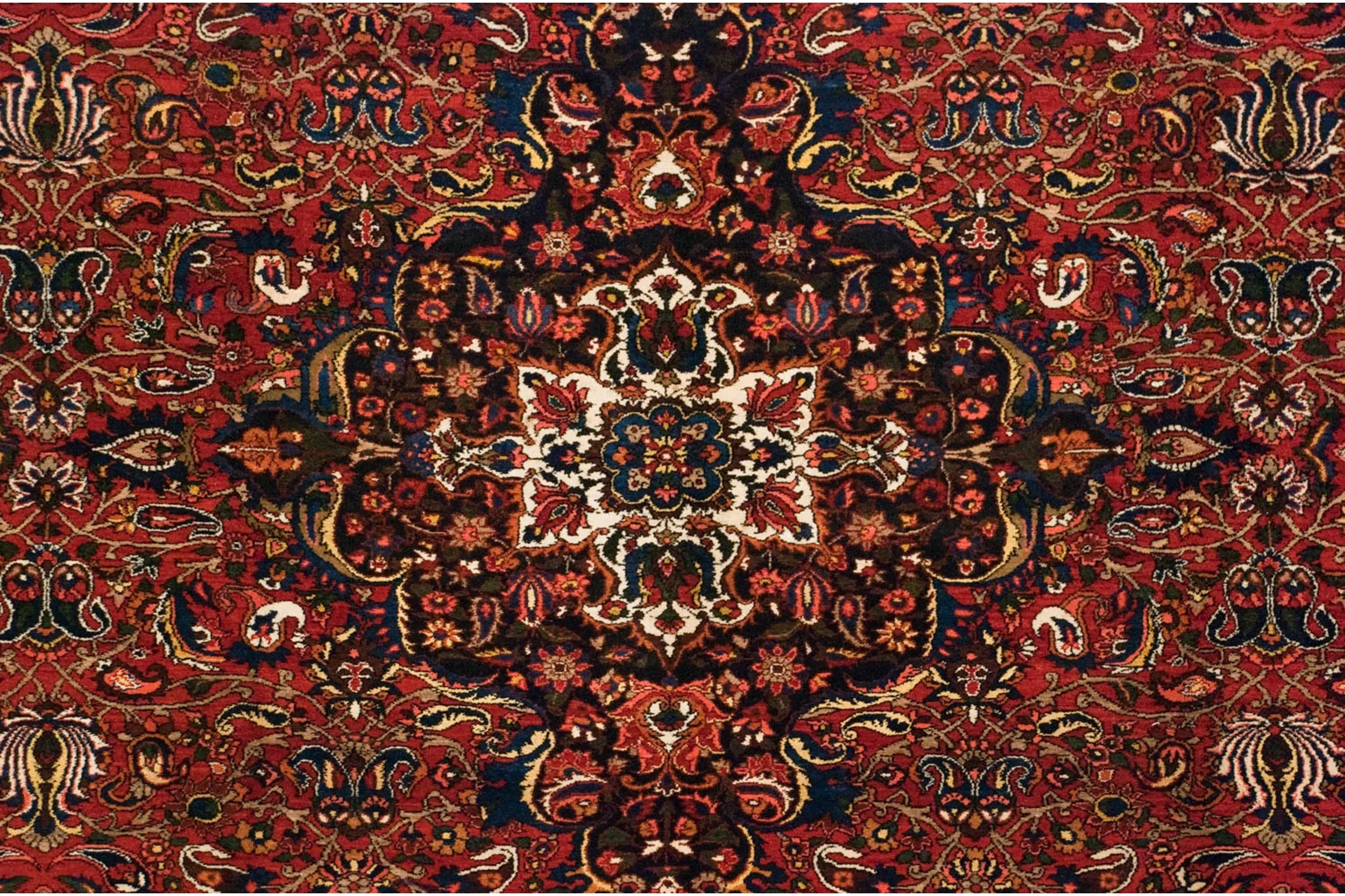 11x15 Vintage Bakhtiari Carpet - Image 11