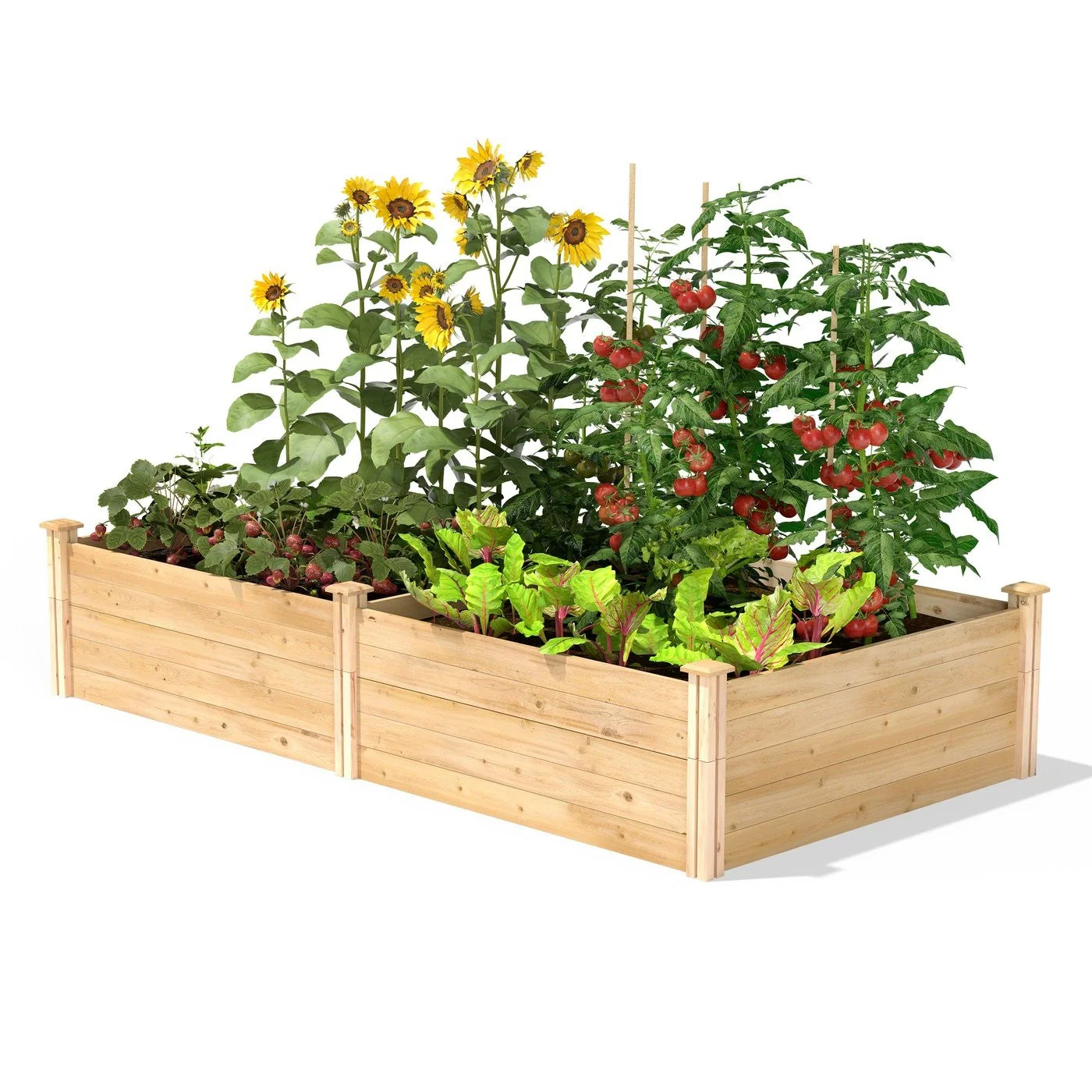 17-inch High Cedar Wood Raised Garden Bed 4 ft x 8 ft - Made in USA - Image 2