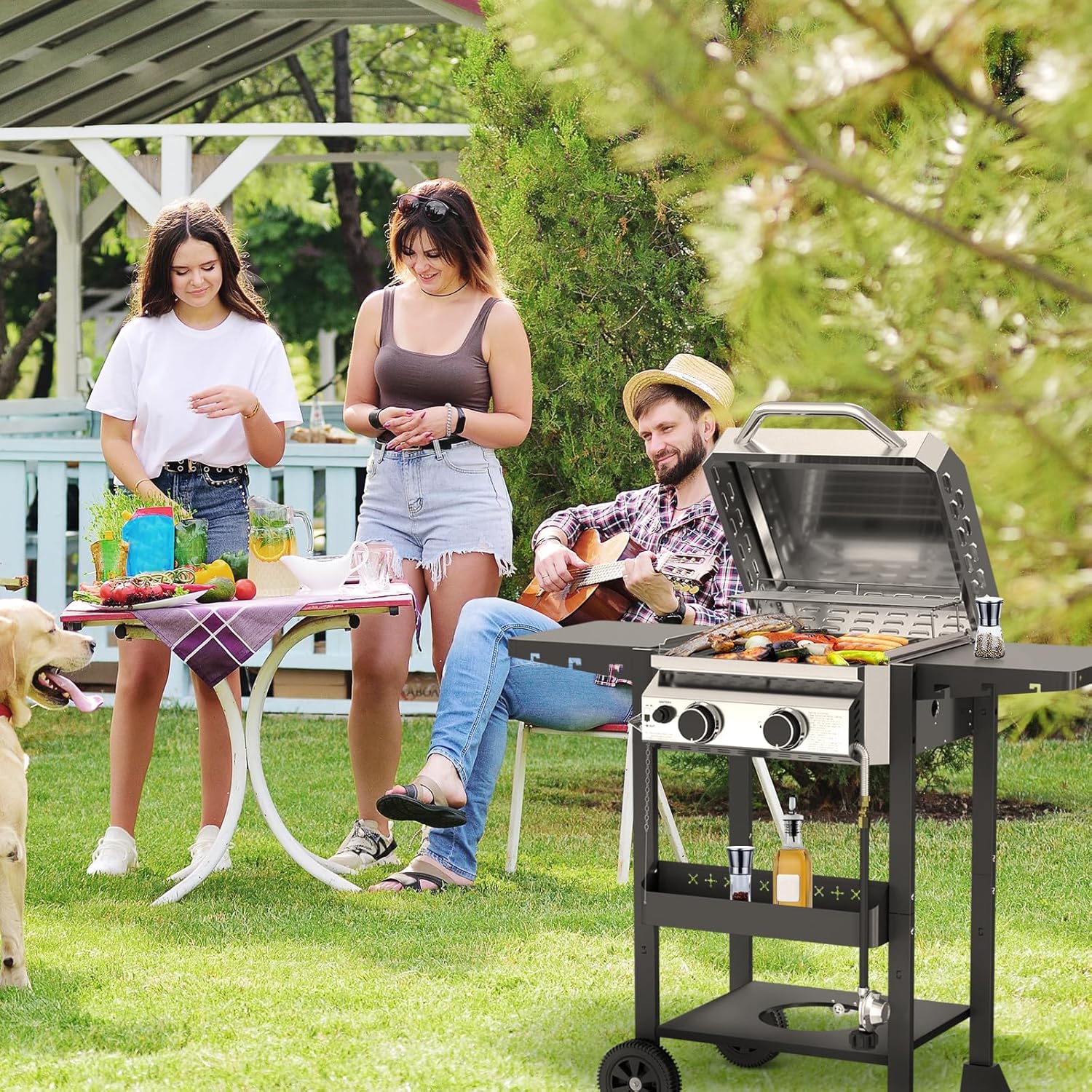 2-Burner Stainless Steel Propane Grill, 16,000 BTU Portable Gas BBQ with Electronic Ignition - Image 7
