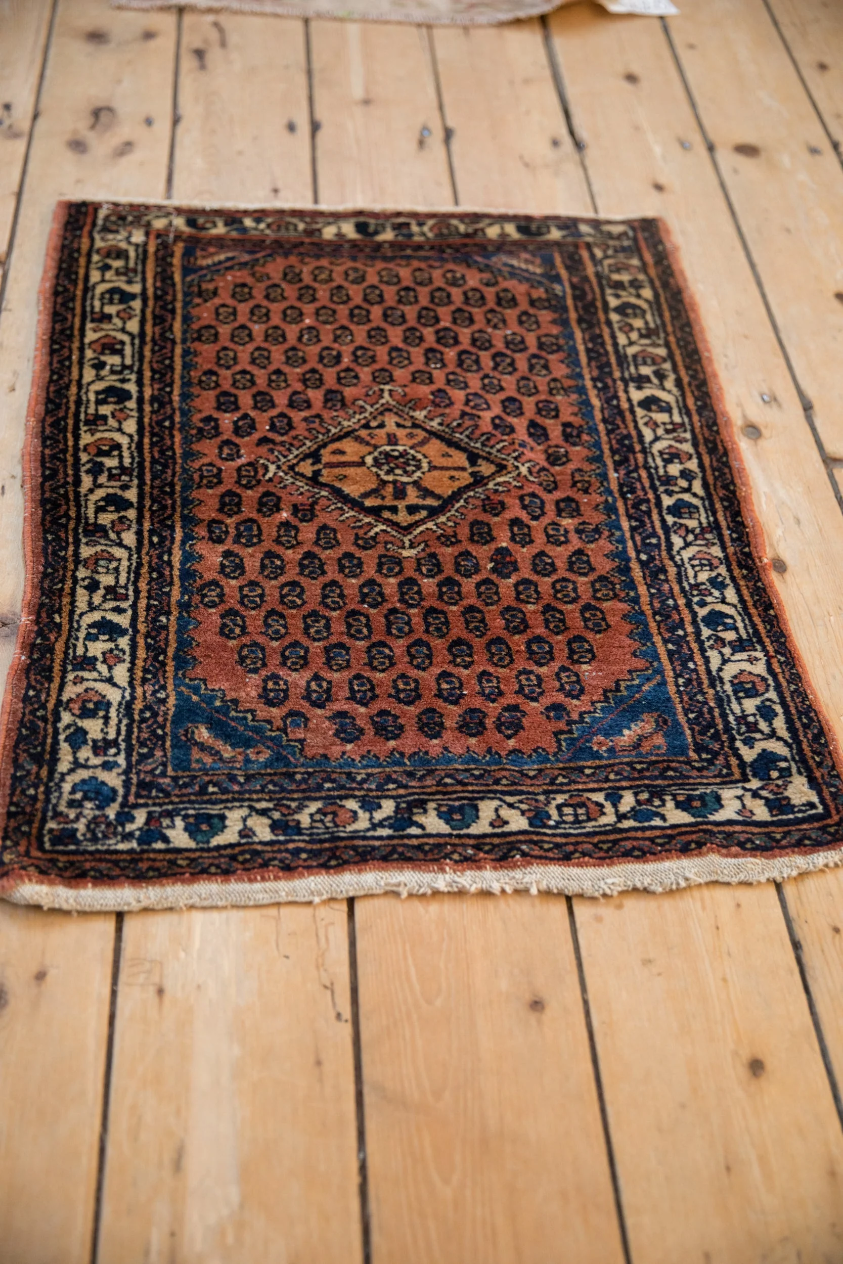 2x2.5 Engelas Rug Mat - Image 7