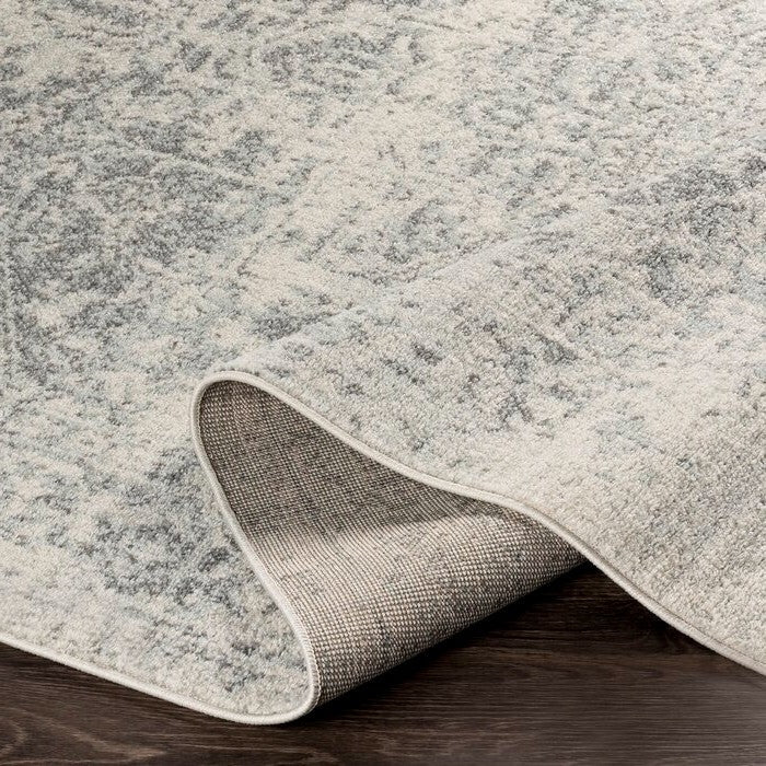 3' x 5' Distressed Oriental Area Rug in Light Grey / Beige - Image 4