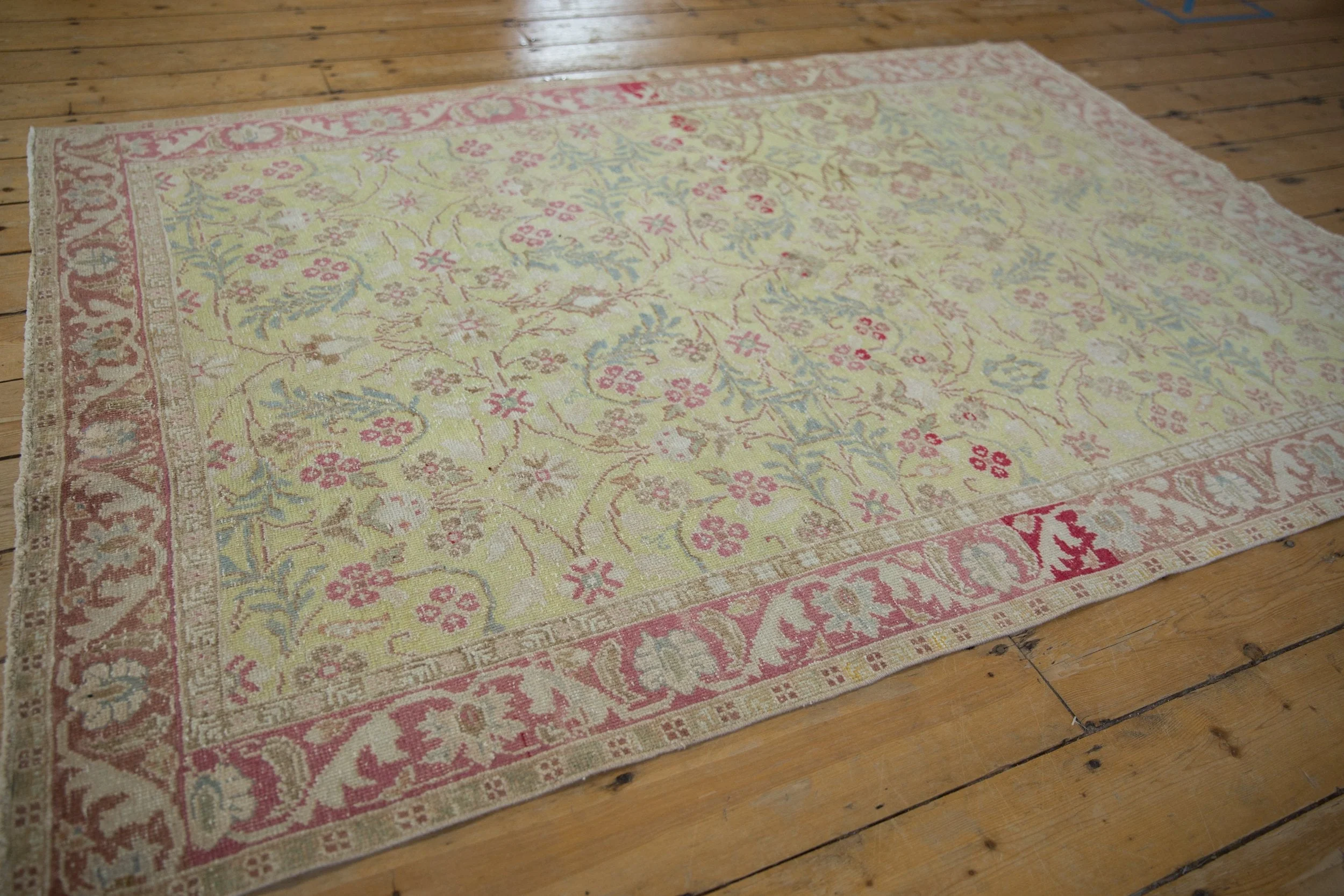 4.5x6.5 Vintage Distressed Sparta Rug - Image 5