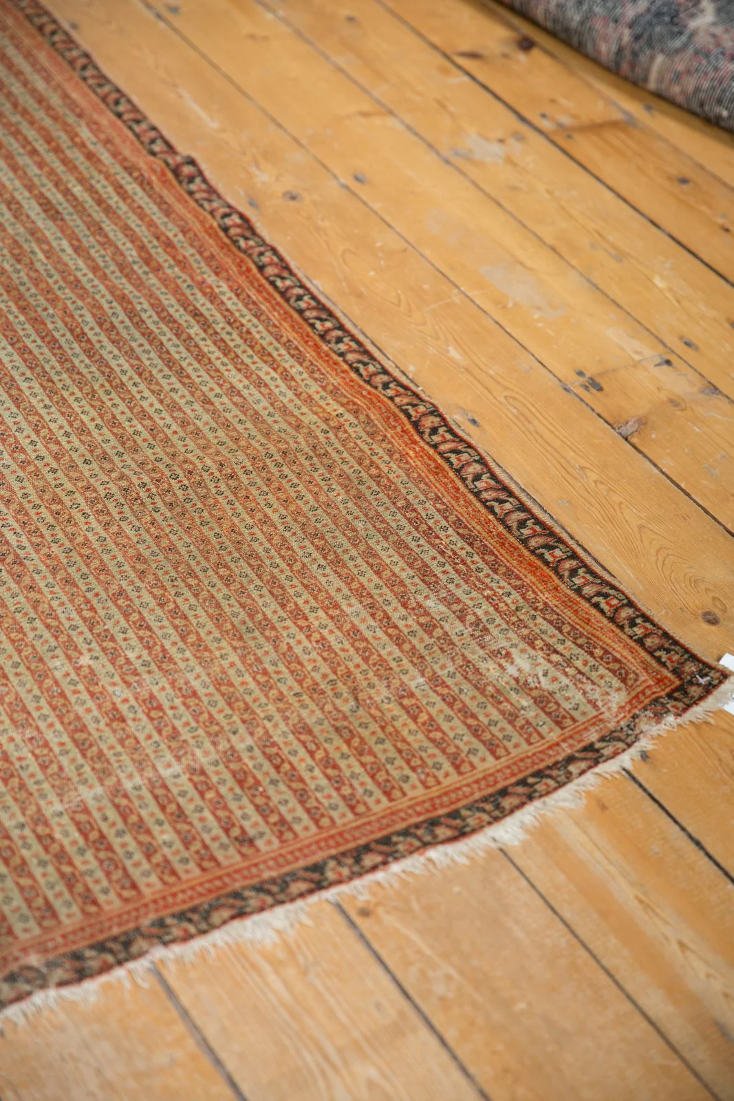 4x6 Antique Fine Senneh Rug - Image 10