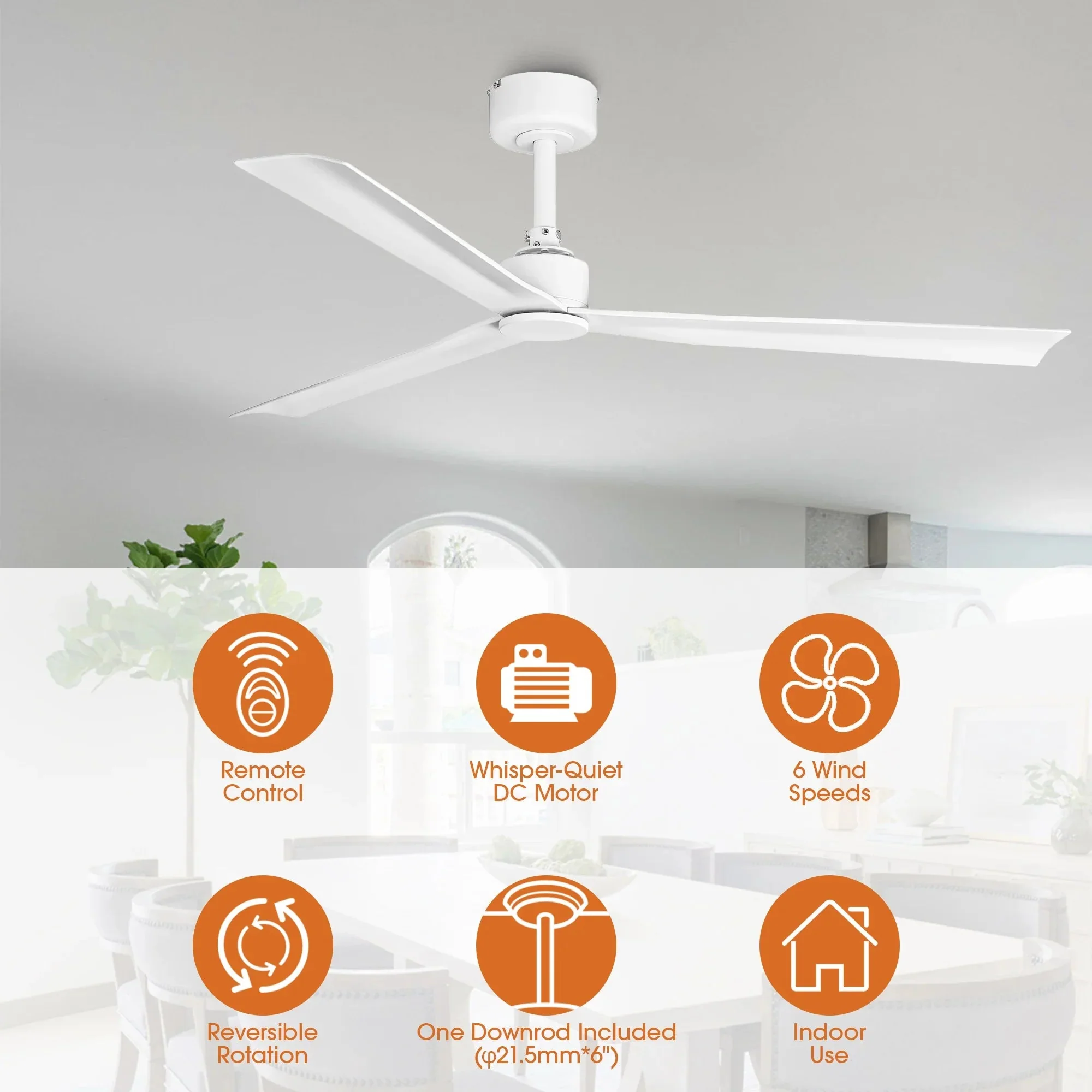 50 Inch Erica Modern Downrod Mount Ceiling Fan with Remote Control - Image 3