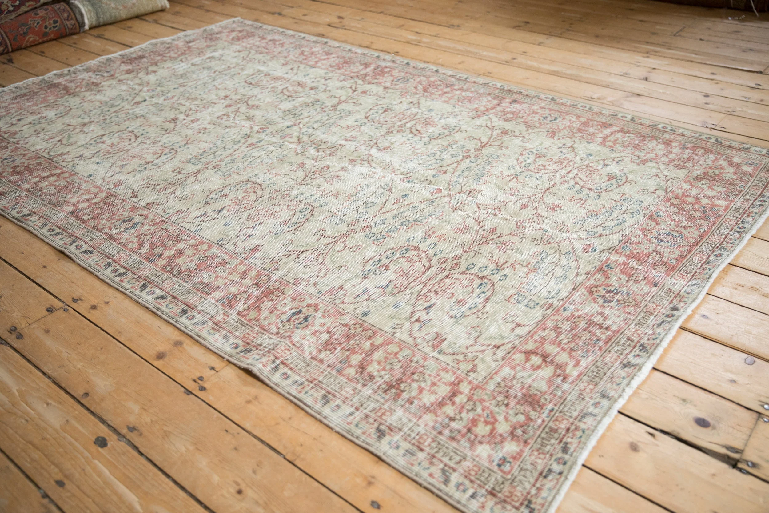 5x8 Vintage Distressed Sparta Carpet - Image 4