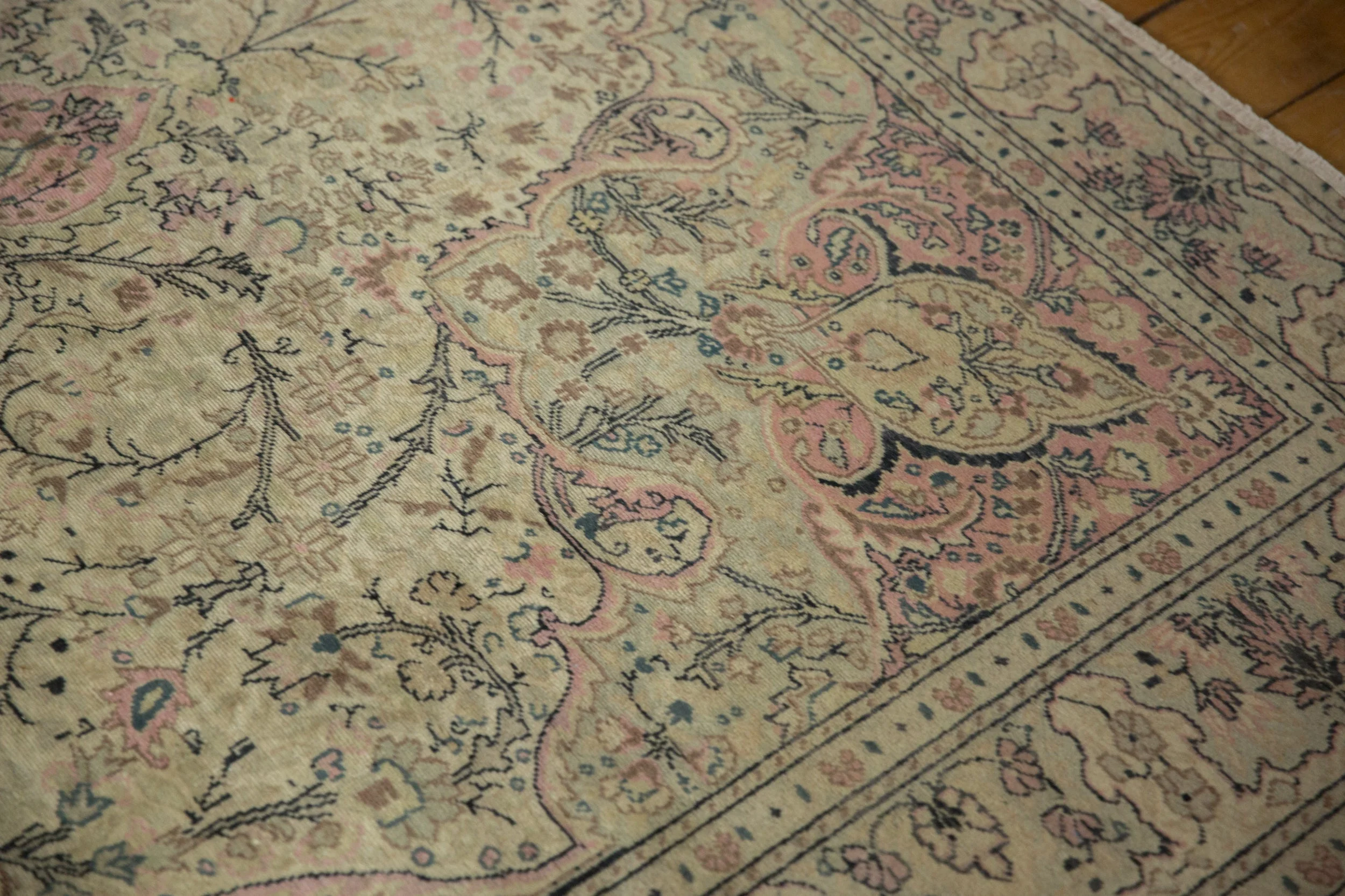 6.5x9.5 Vintage Distressed Kayseri Carpet - Image 7