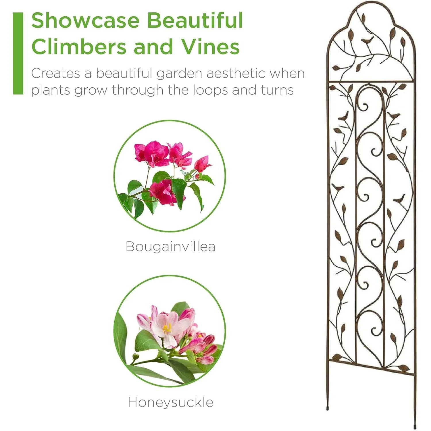 60-inch Tall Outdoor Iron Garden Trellis in Bronze Metal Finish - Image 2