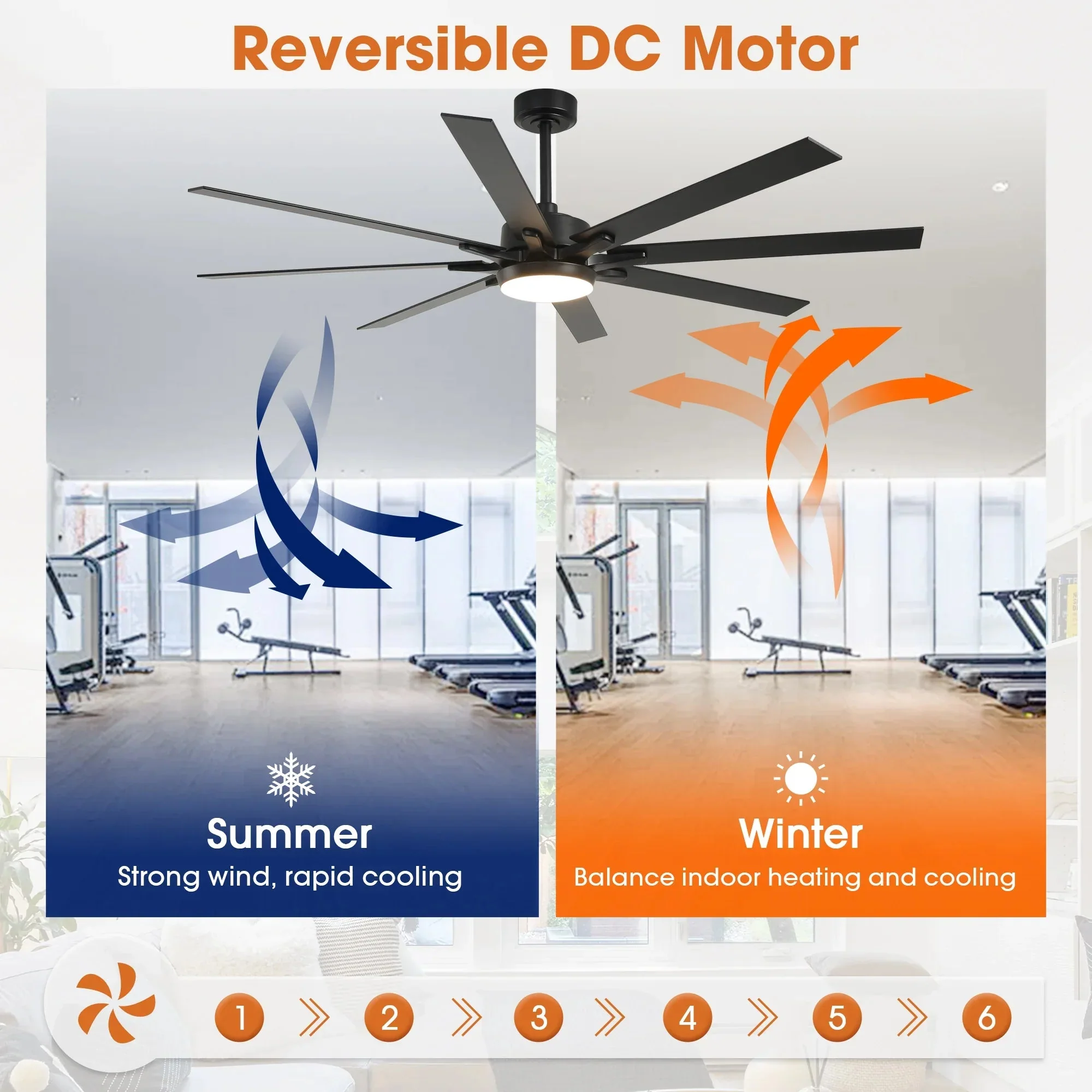 65 Inch Teresa Modern Double-sided Blades Ceiling Fan with Remote Control and LED Light - Image 6