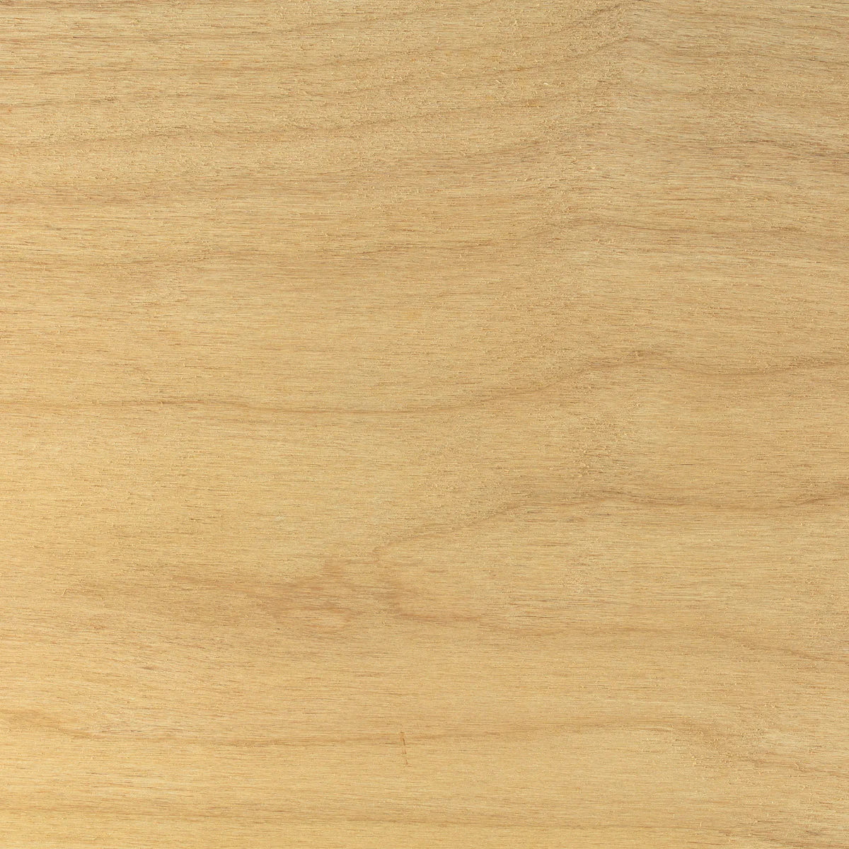 Alder, Superior/Clear