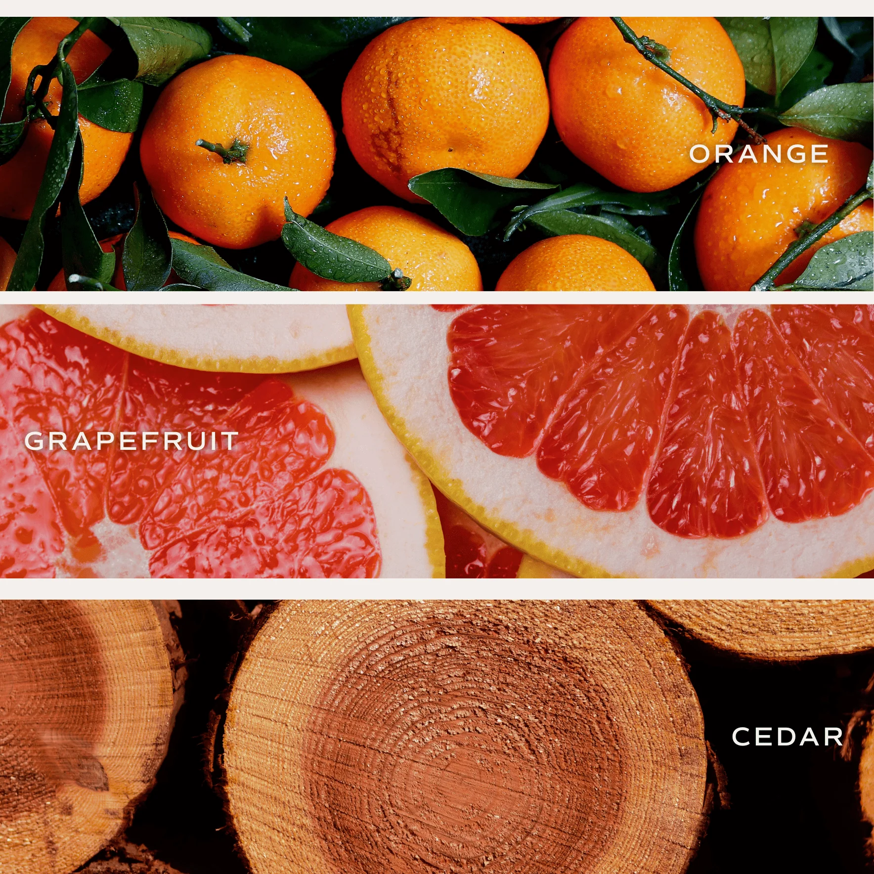 All Over Hearts Soy Candle - Tinted Glass Jar - 12 oz - Image 3