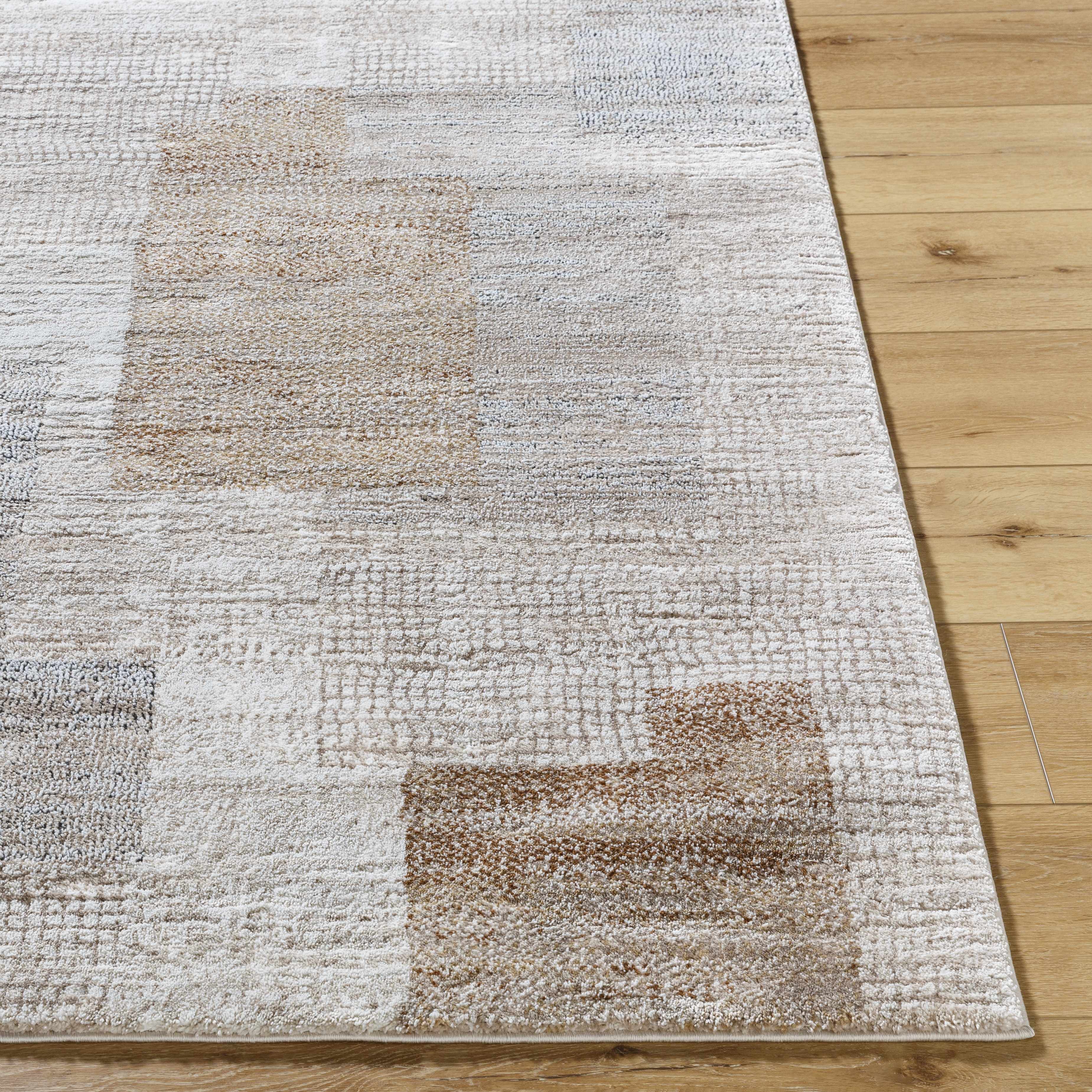 Anaisa Beige Luxe Thick Area Rug - Image 4