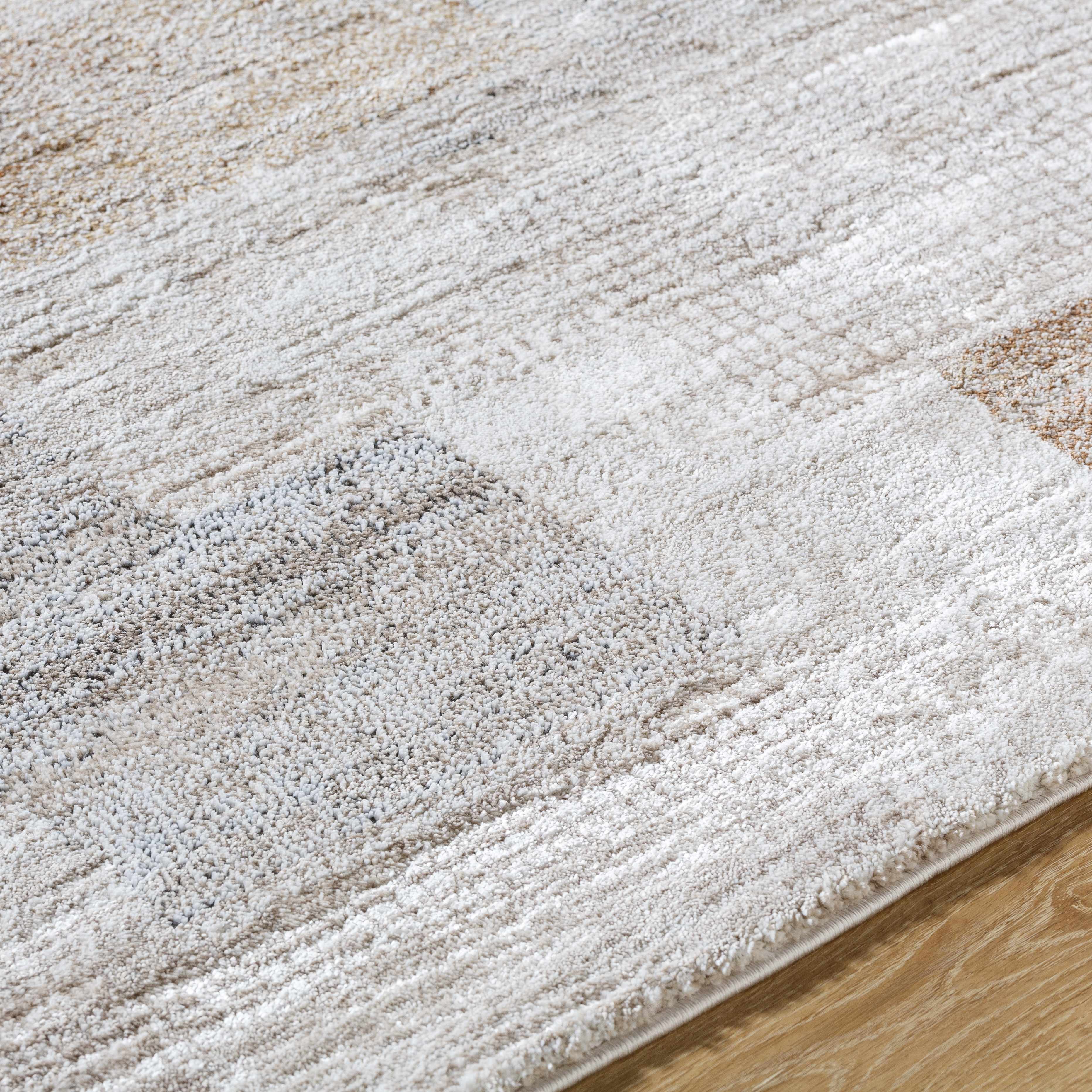 Anaisa Beige Luxe Thick Area Rug - Image 6