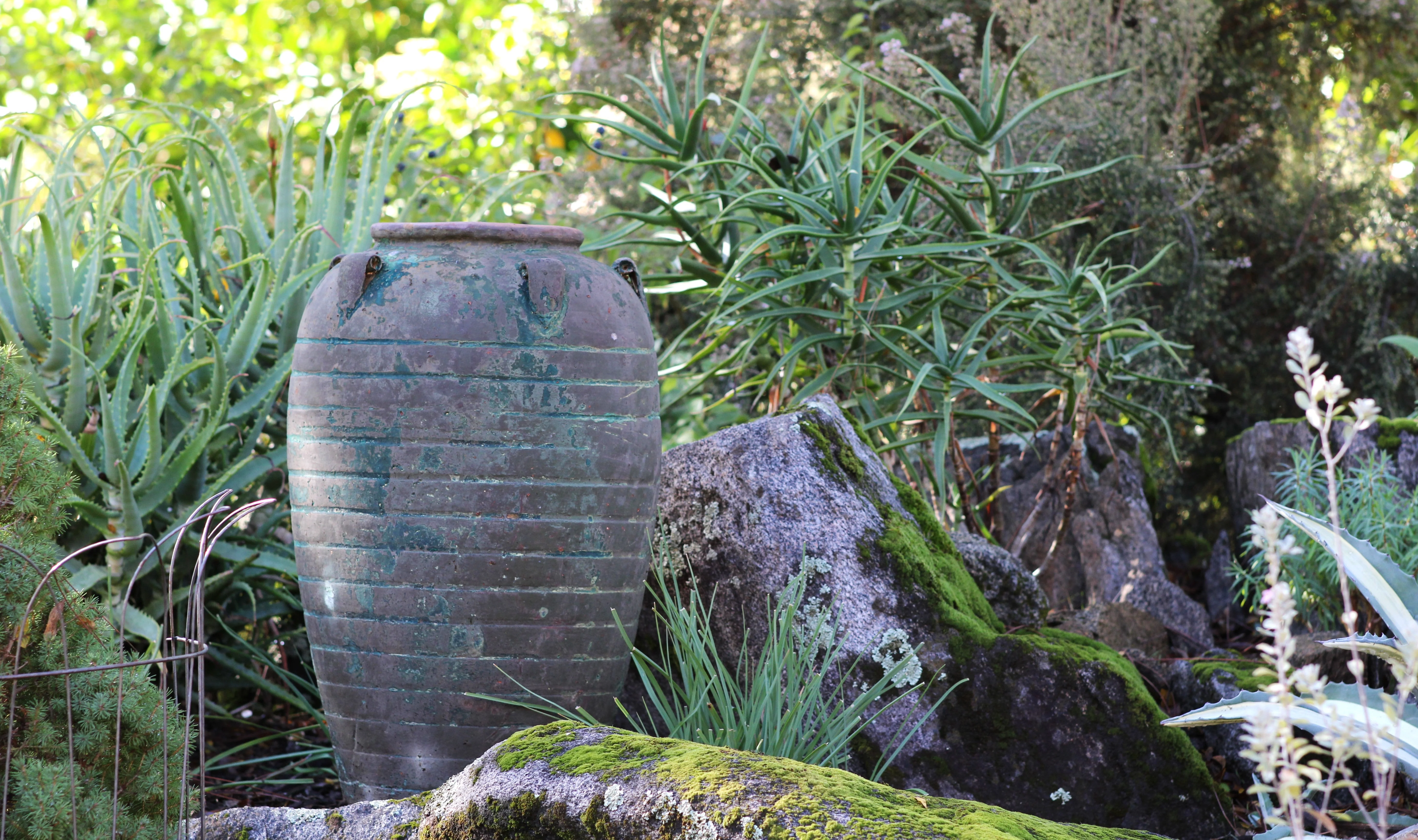 Ancient Amphora Large Planter By Plantatorem - Image 5