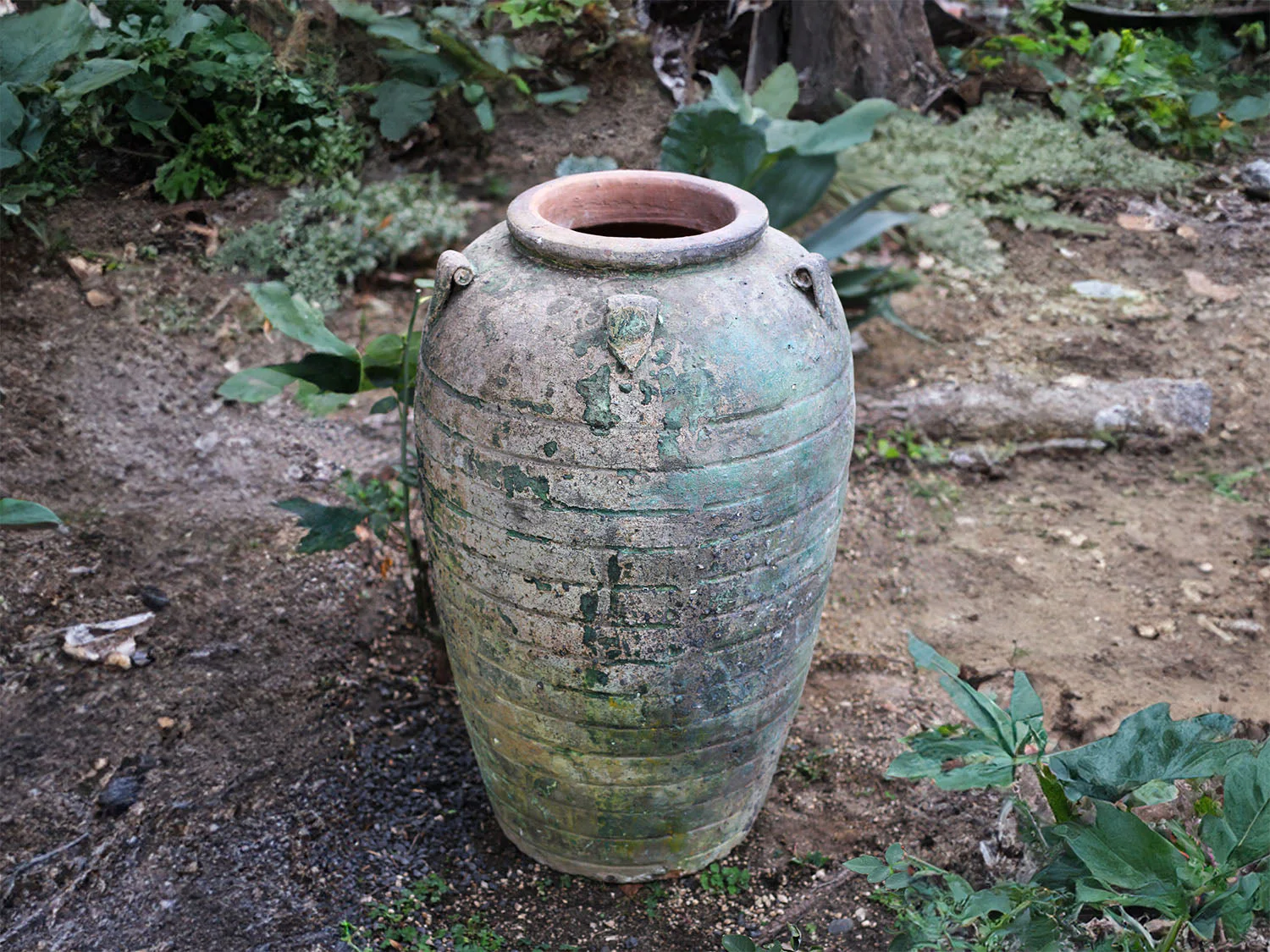Ancient Amphora Large Planter By Plantatorem - Image 7