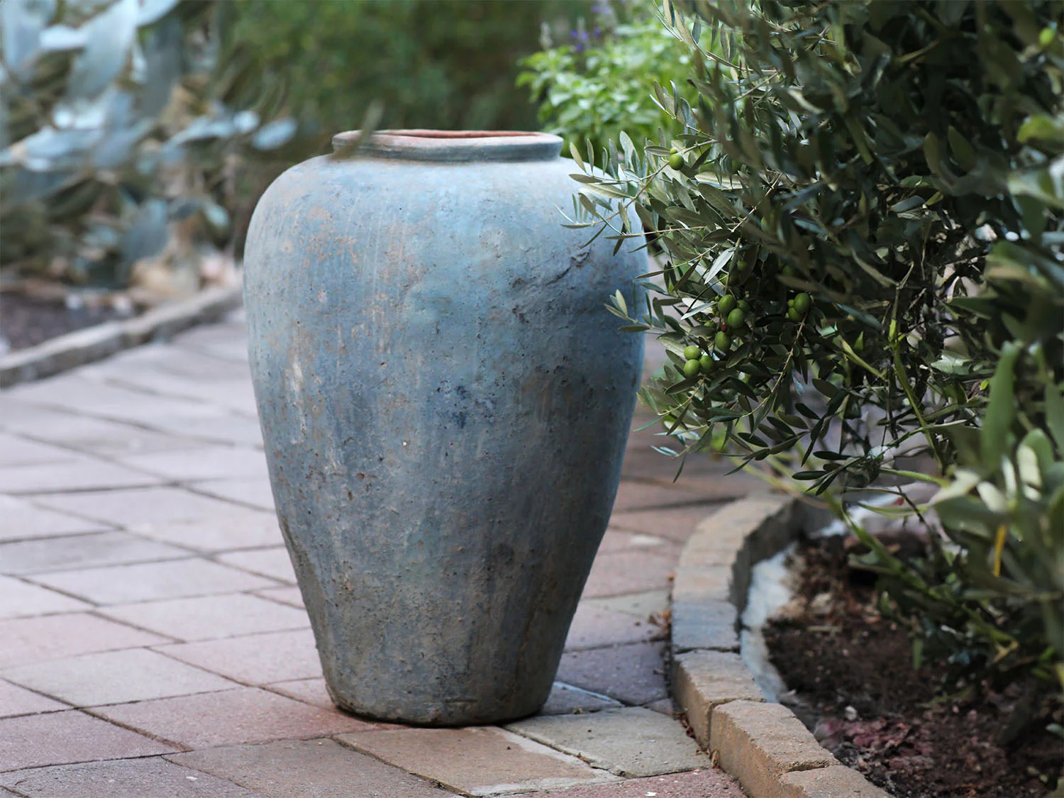 Ancient Wine Jar By Plantatorem - Image 3