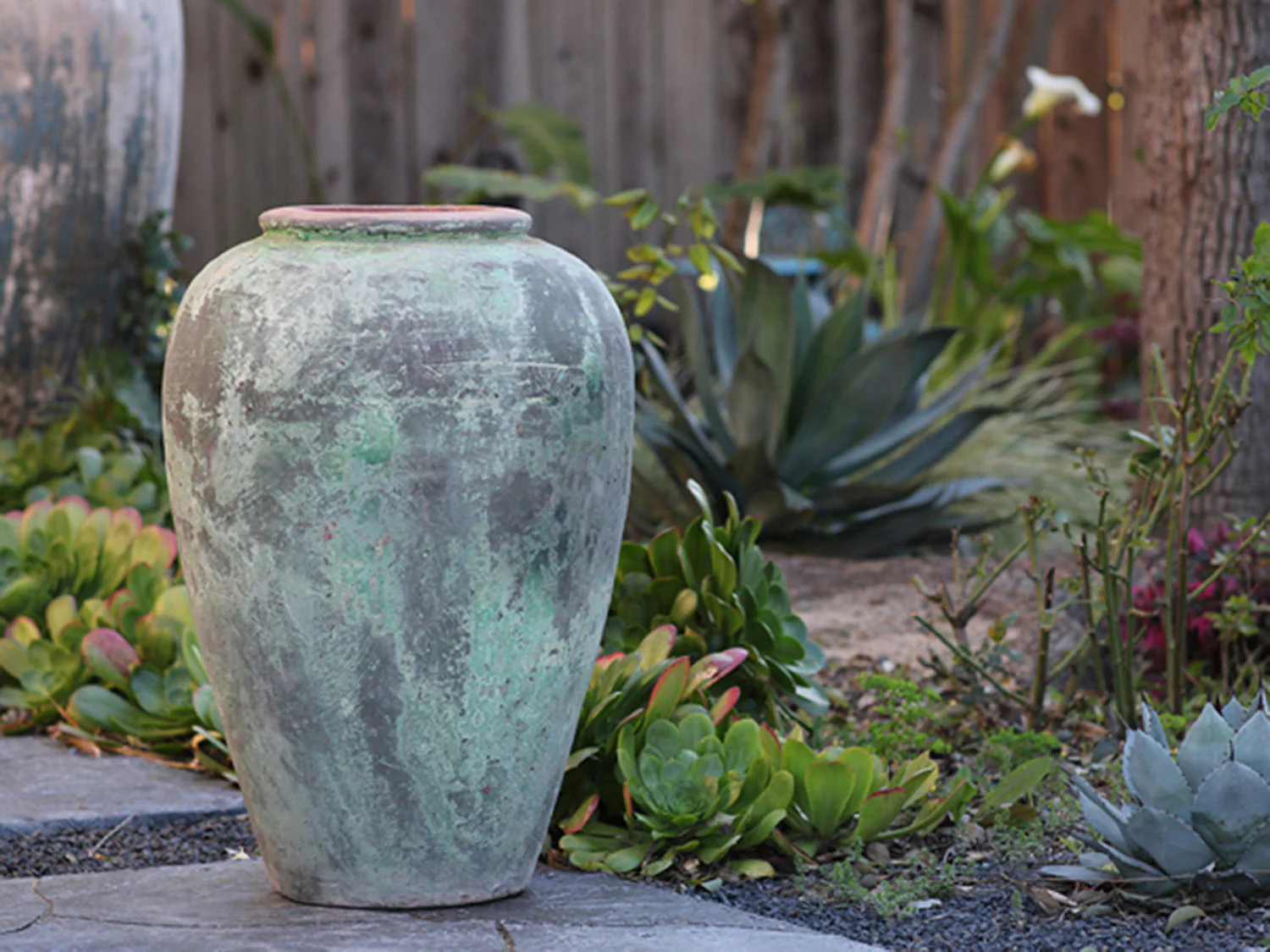 Ancient Wine Jar By Plantatorem - Image 5