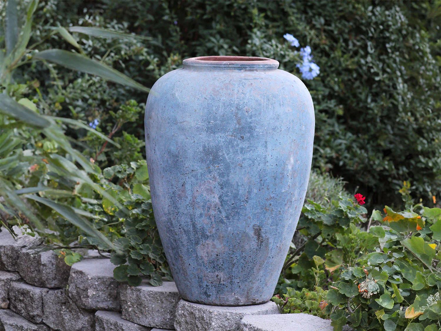 Ancient Wine Jar By Plantatorem - Image 7