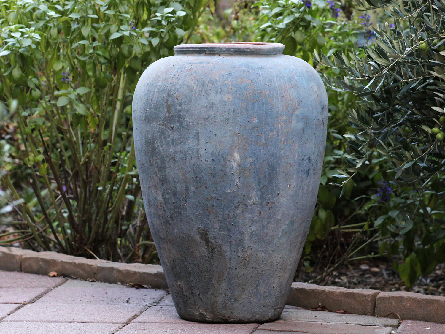 Ancient Wine Jar By Plantatorem - Image 8