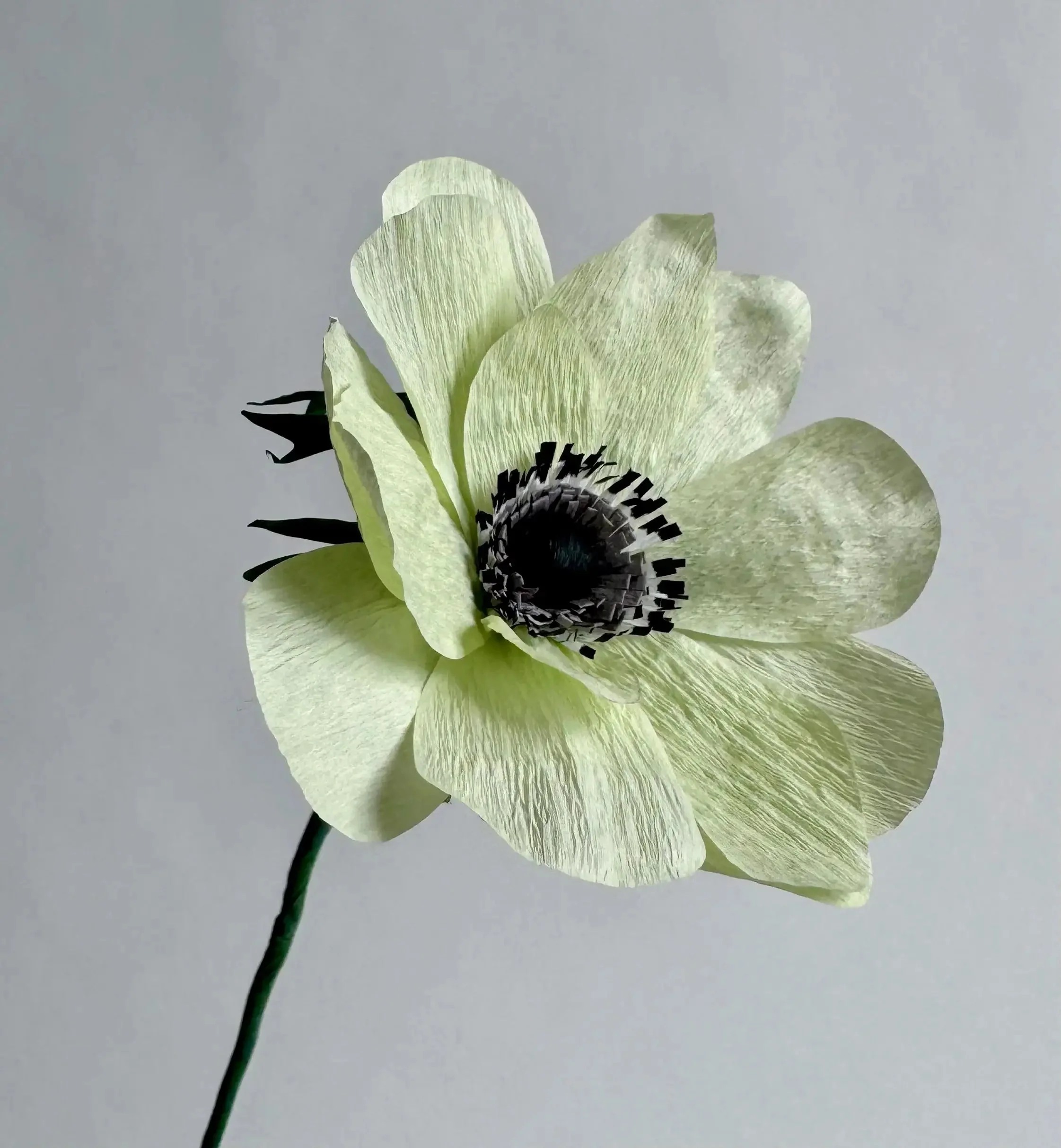 Anemone Single Stem | Handcrafted Paper Flower - Image 6