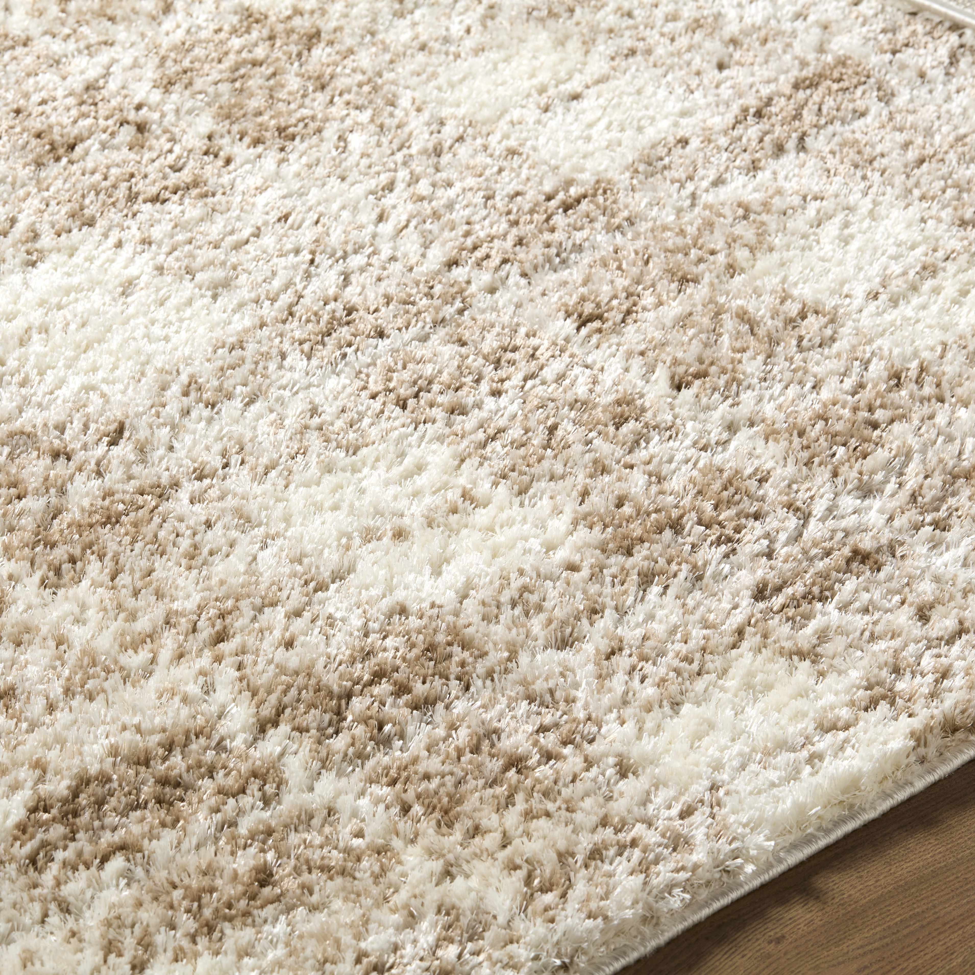 Anfisa Beige Luxe Shag Area Rug - Image 7