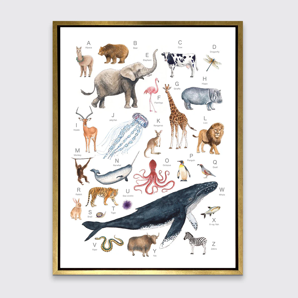 Animal Alphabet - Open Edition Canvas Print - Image 6