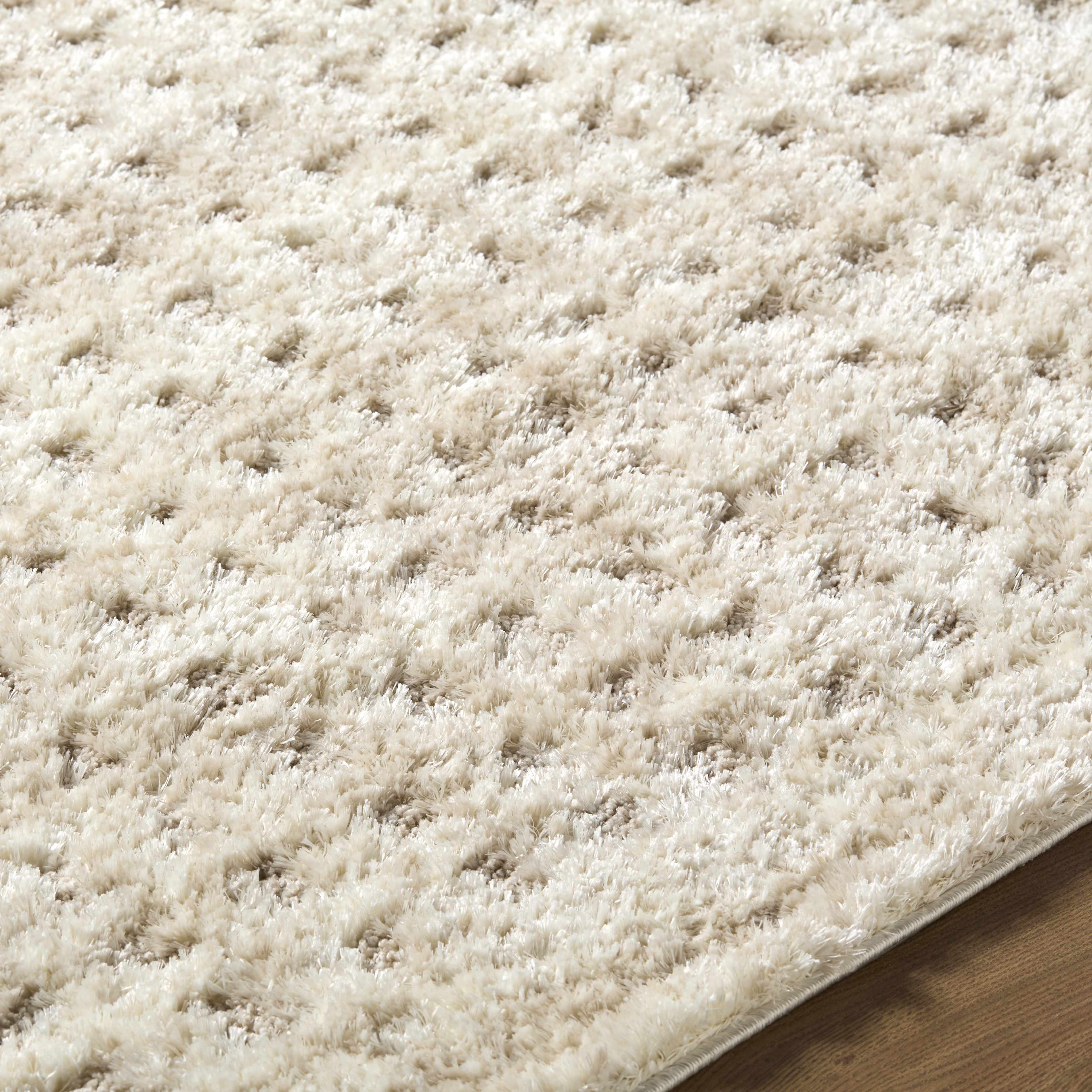 Armand Luxe Shag Rug - Image 7