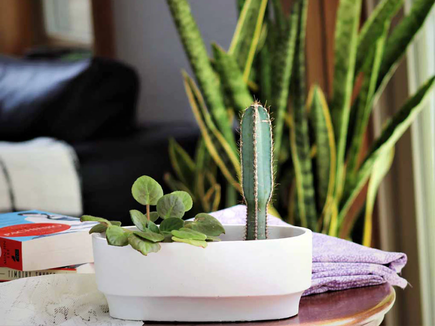 Art Decor Oval Planter By Plantatorem - Image 2