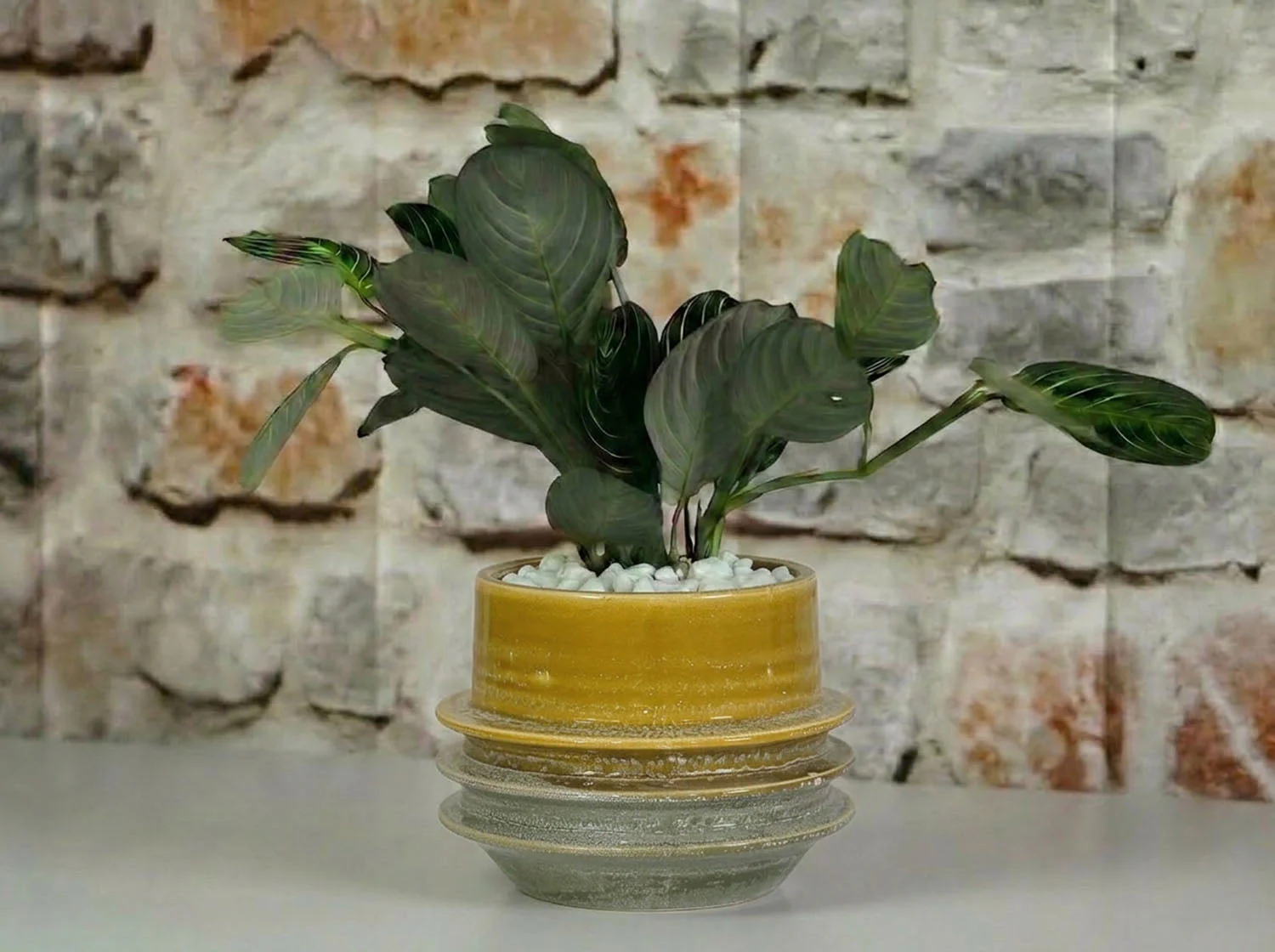 Art Décor Planter - Image 4