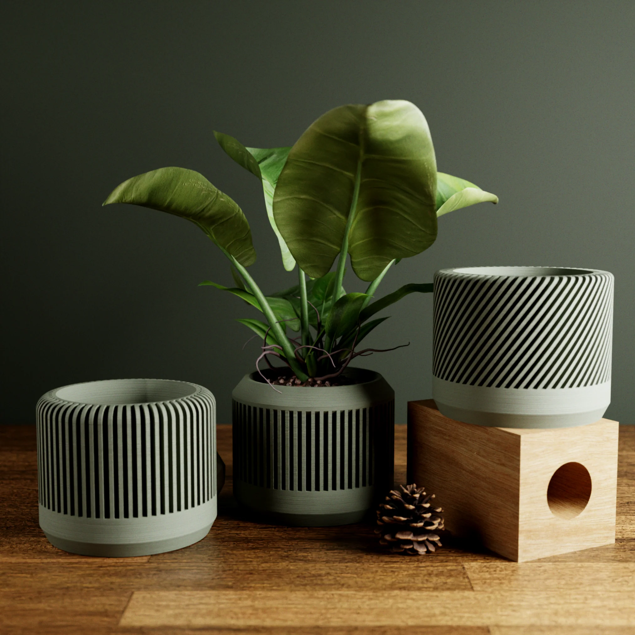 BAMBOO Planter Set - Image 3