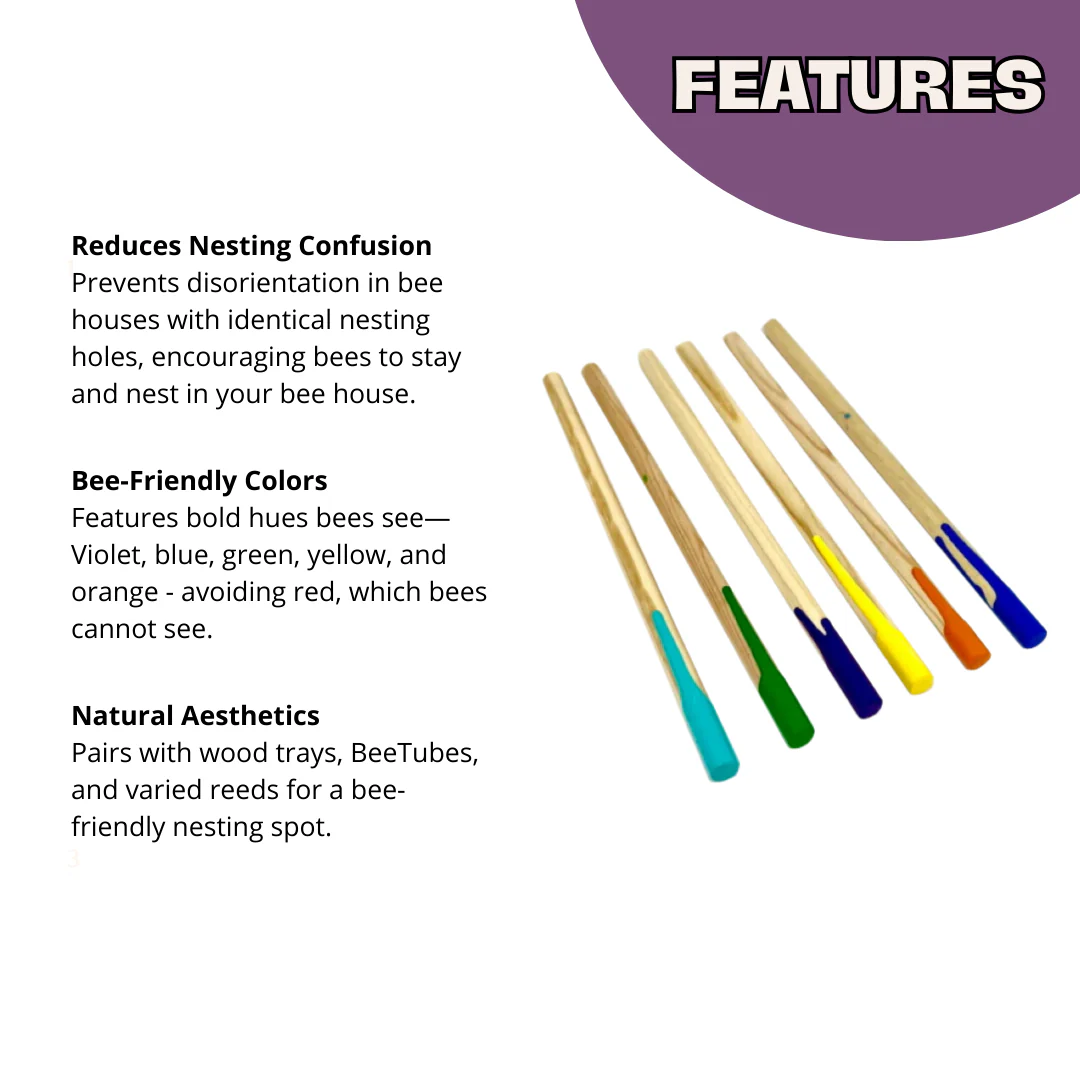 Bee Wayfinders - Mason Bees - Image 3