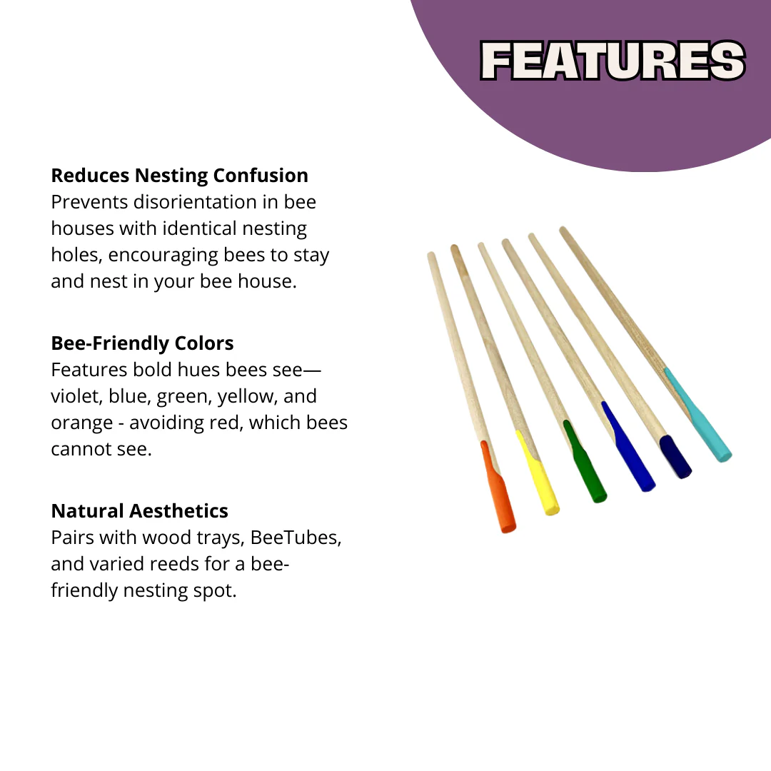 Bee Wayfinders - Summer Leaf Bees - Image 3
