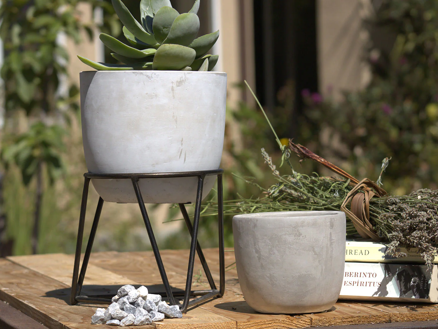 Bell Curve Concrete Planter By Plantatorem - Image 2