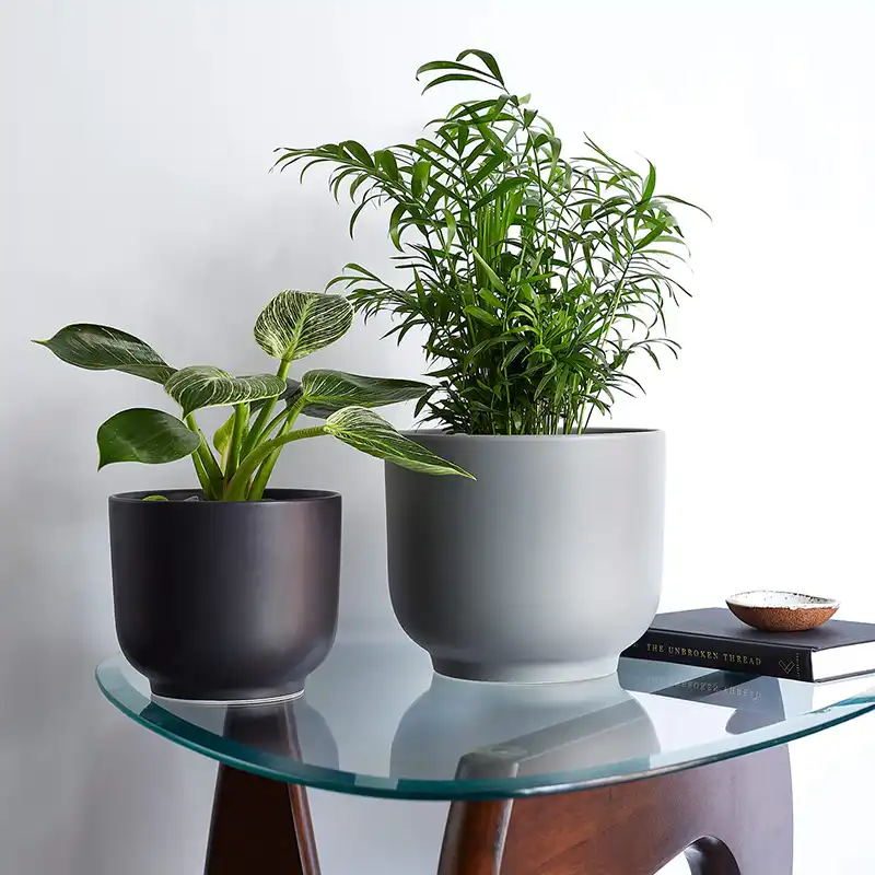 Bell Planter - Image 2