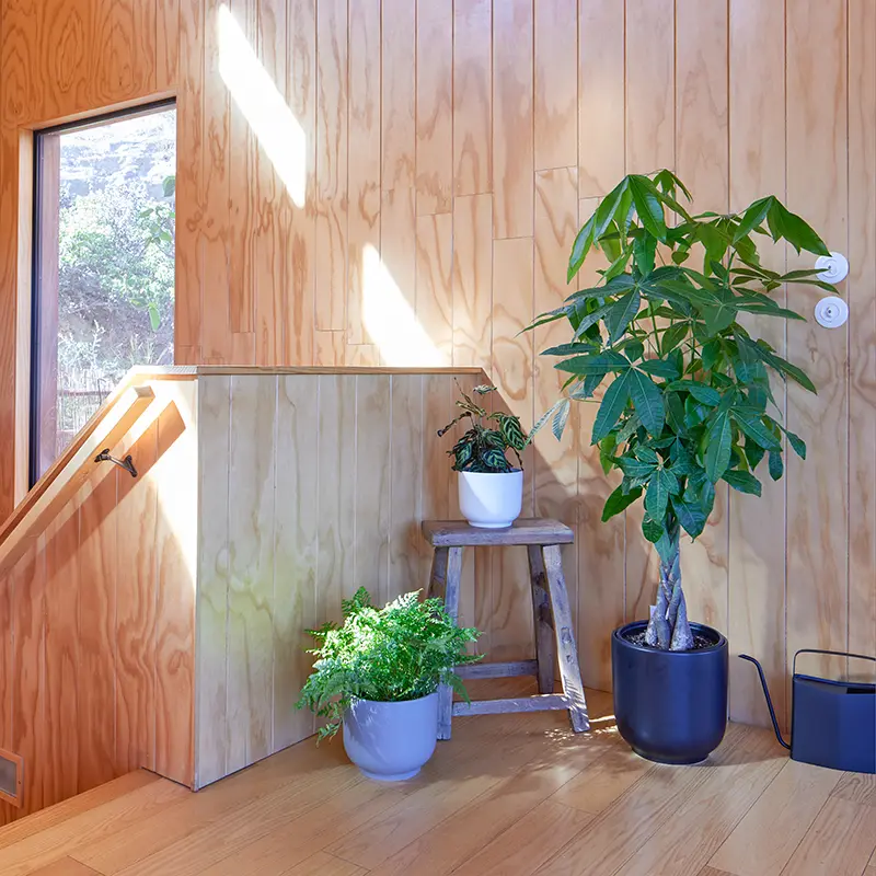 Bell Planter - Image 4