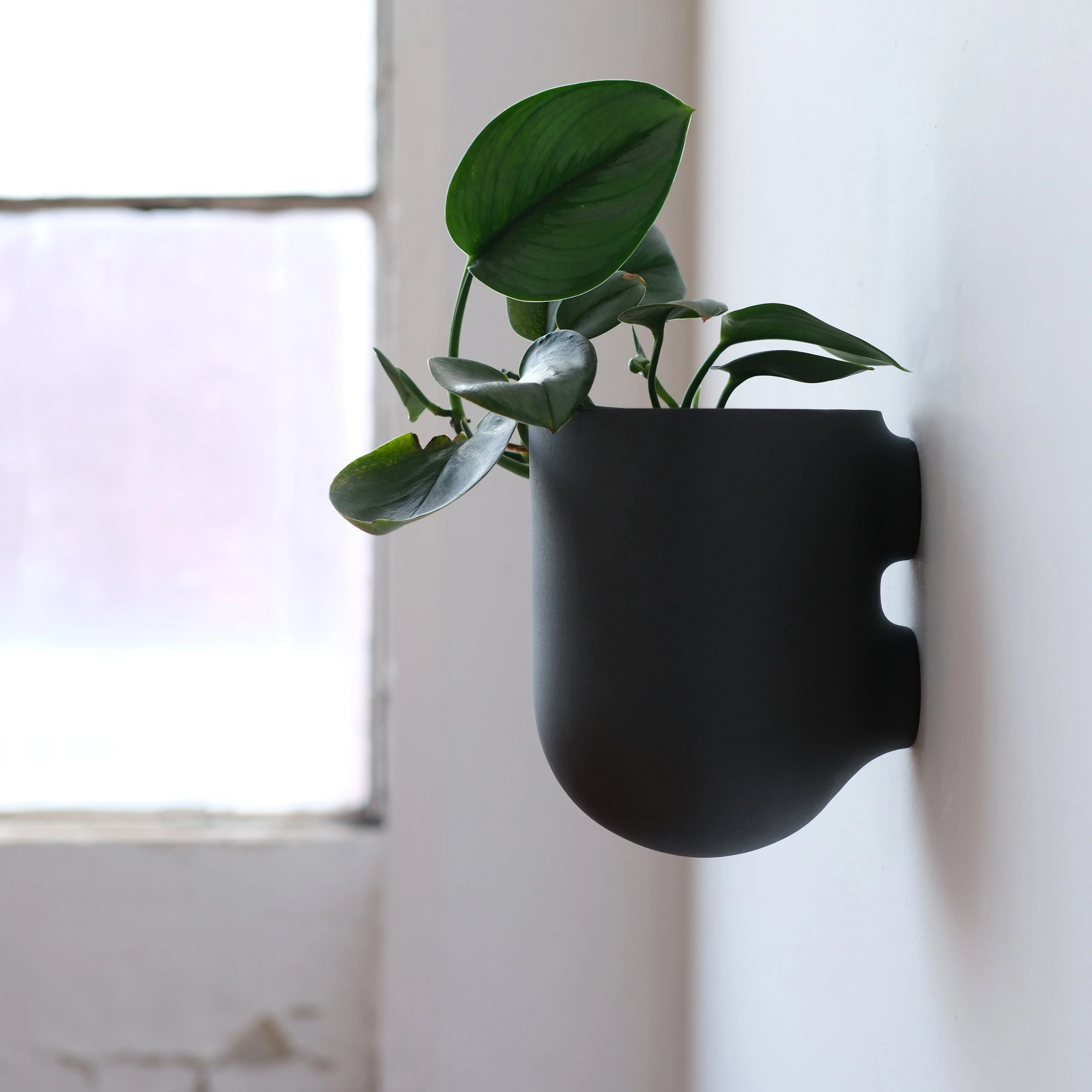Bender Wall Planter - Image 3