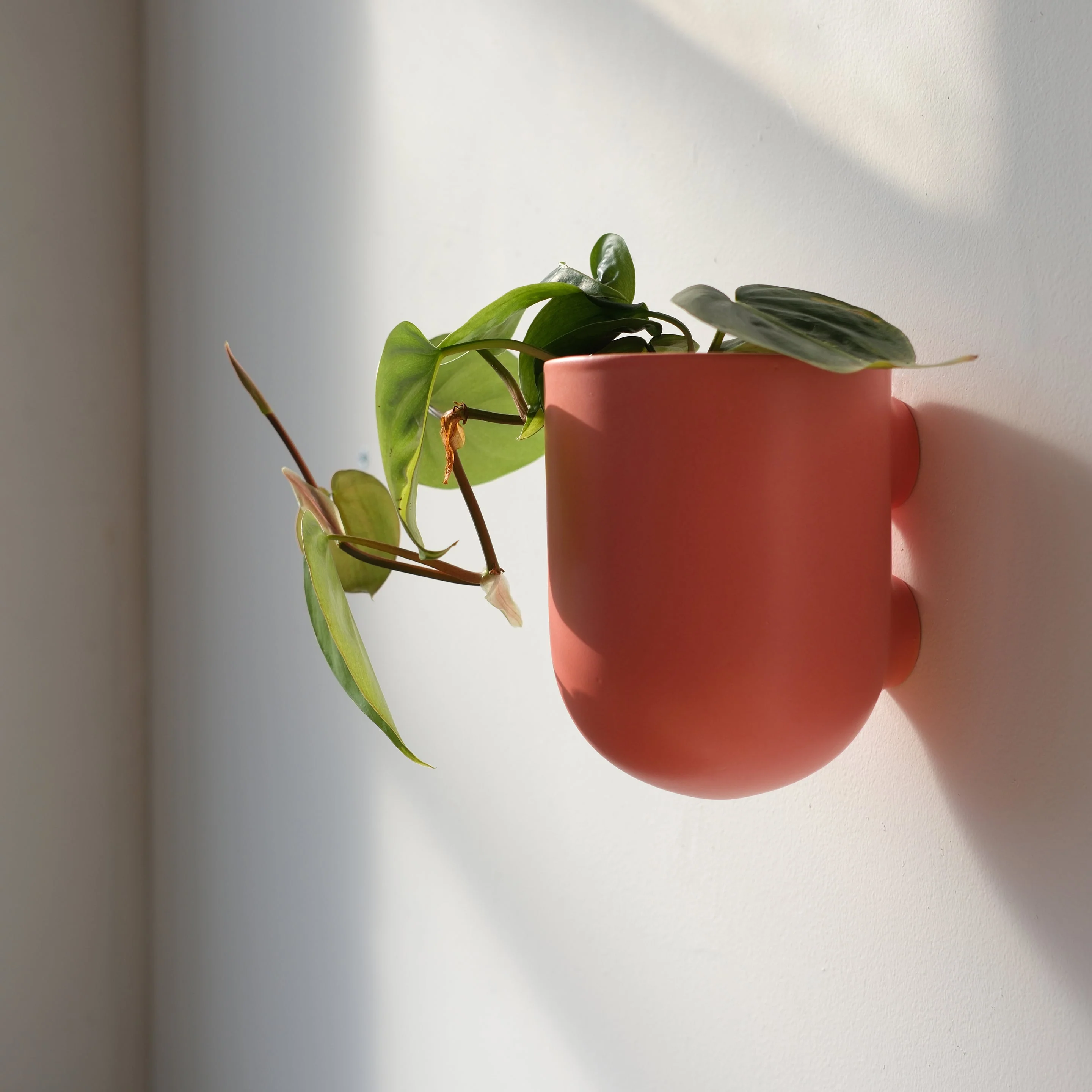 Bender Wall Planter - Image 4