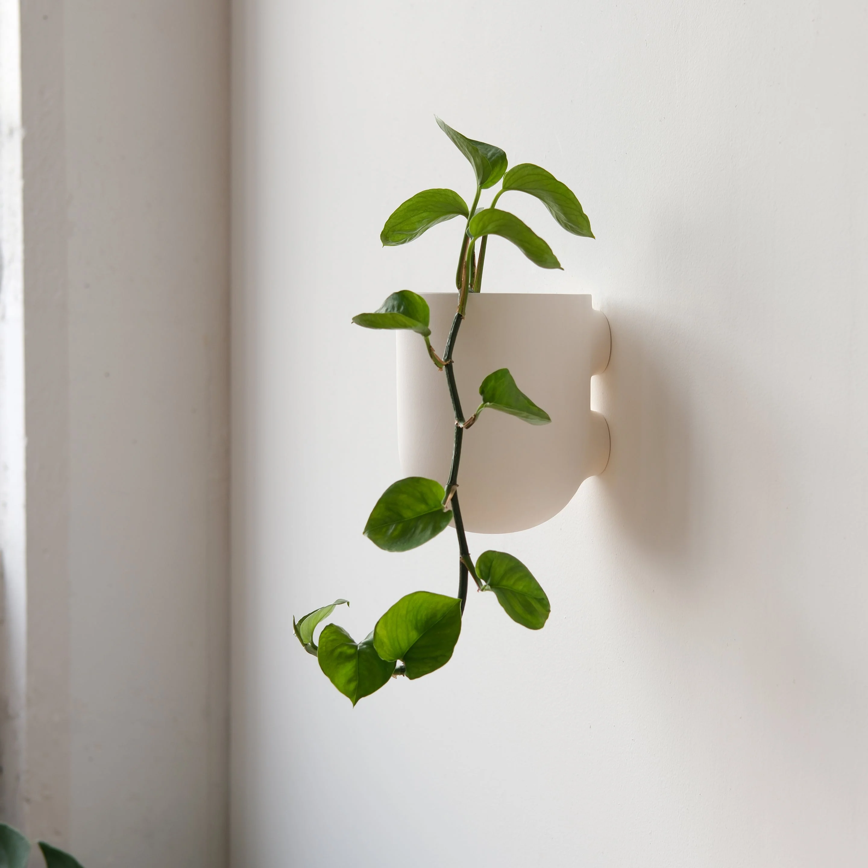 Bender Wall Planter - Image 5