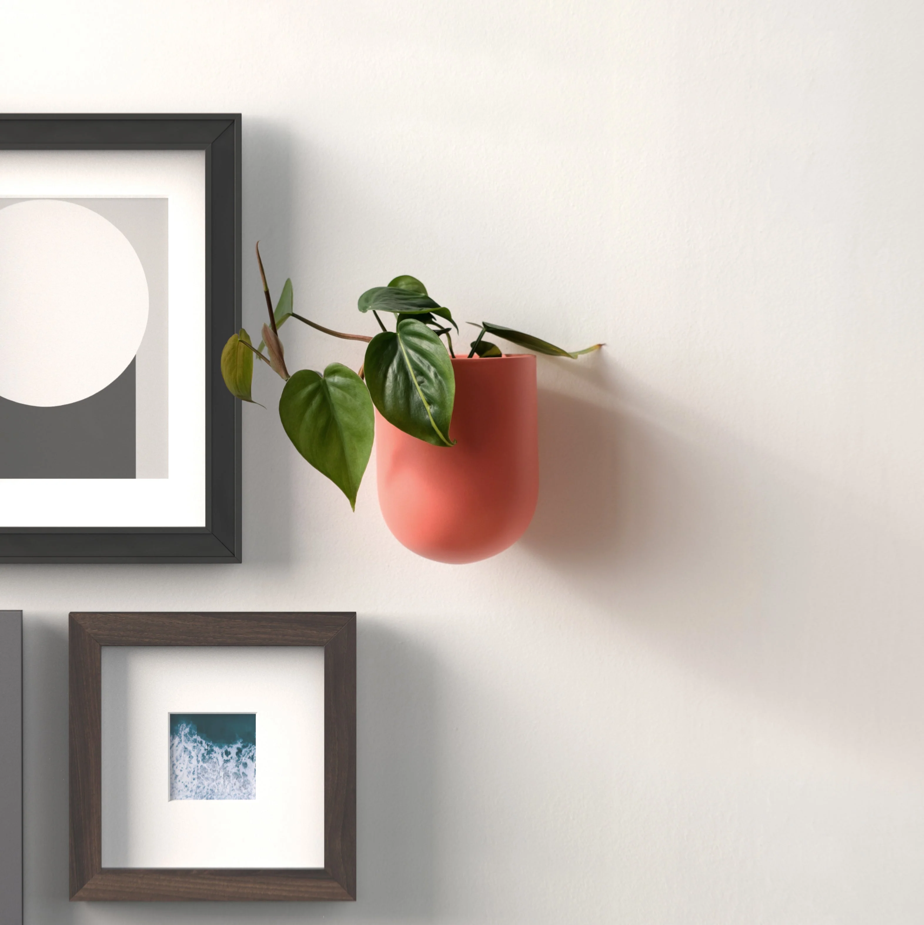 Bender Wall Planter - Image 6