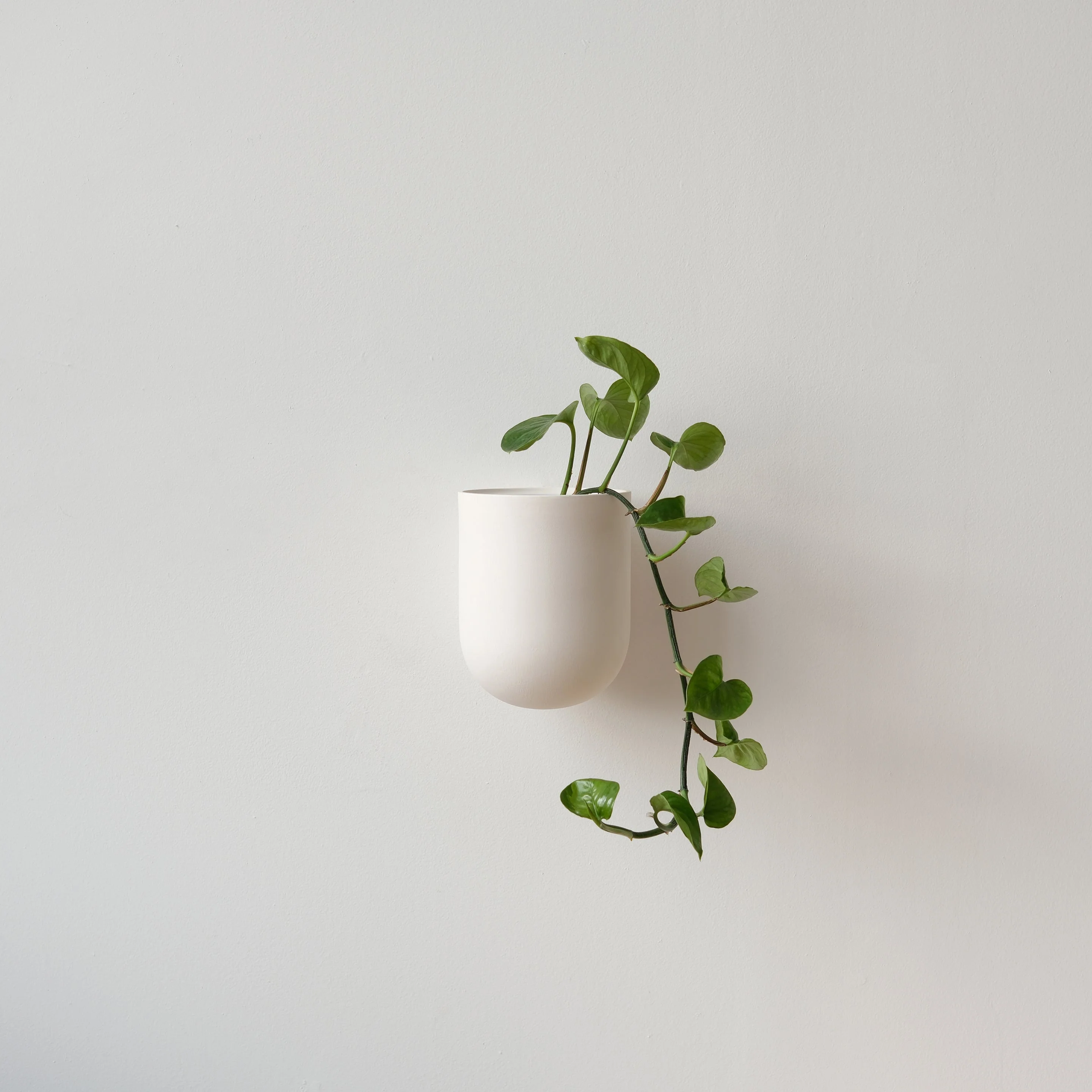 Bender Wall Planter - Image 7