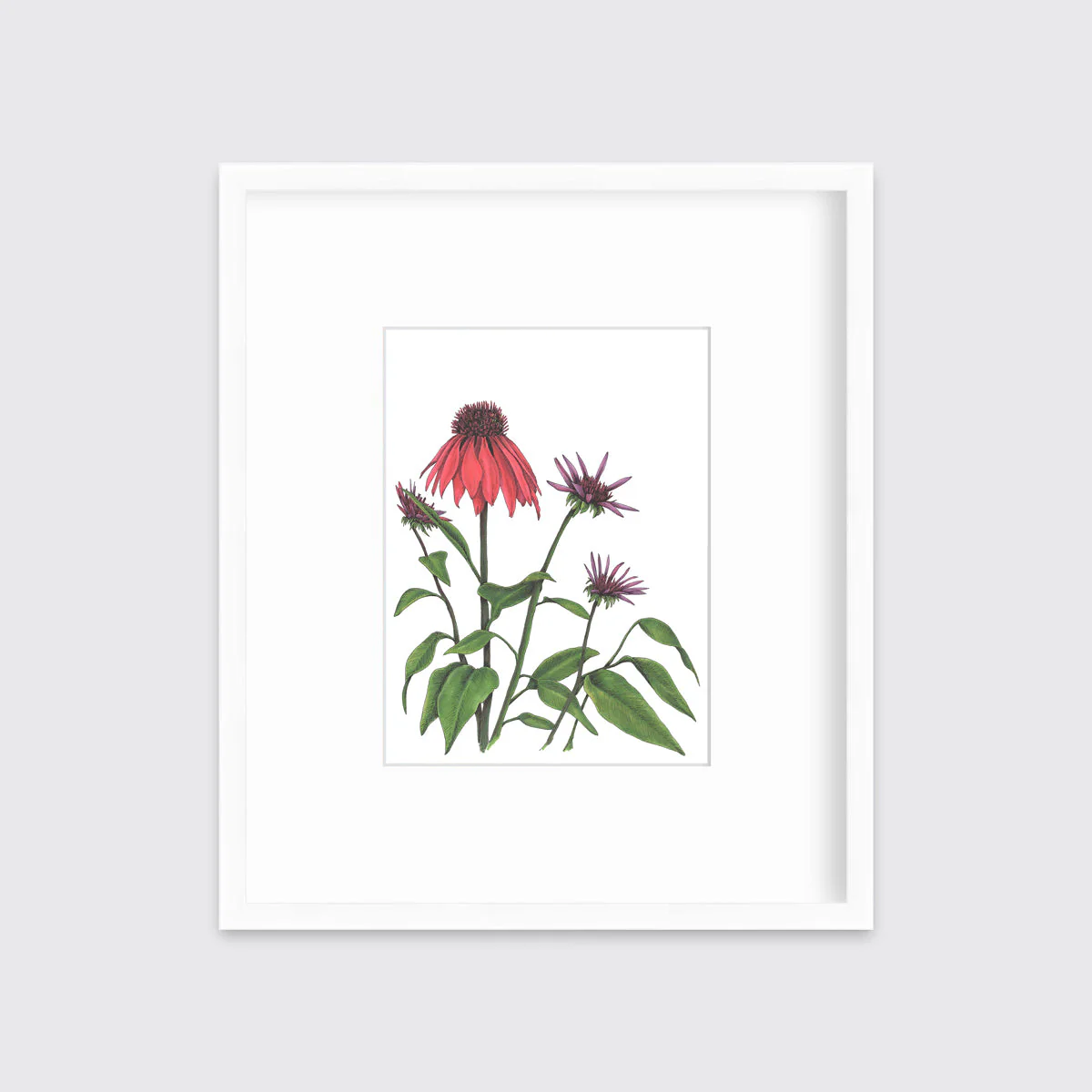 Big Red - Open Edition Paper Print - Image 4