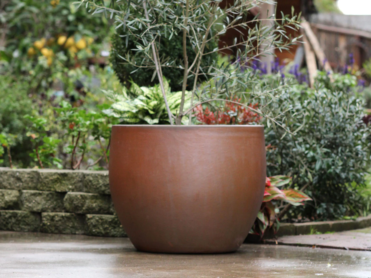 Big Sonoma Planter - Set of 4 (Clay) By Plantatorem - Image 2