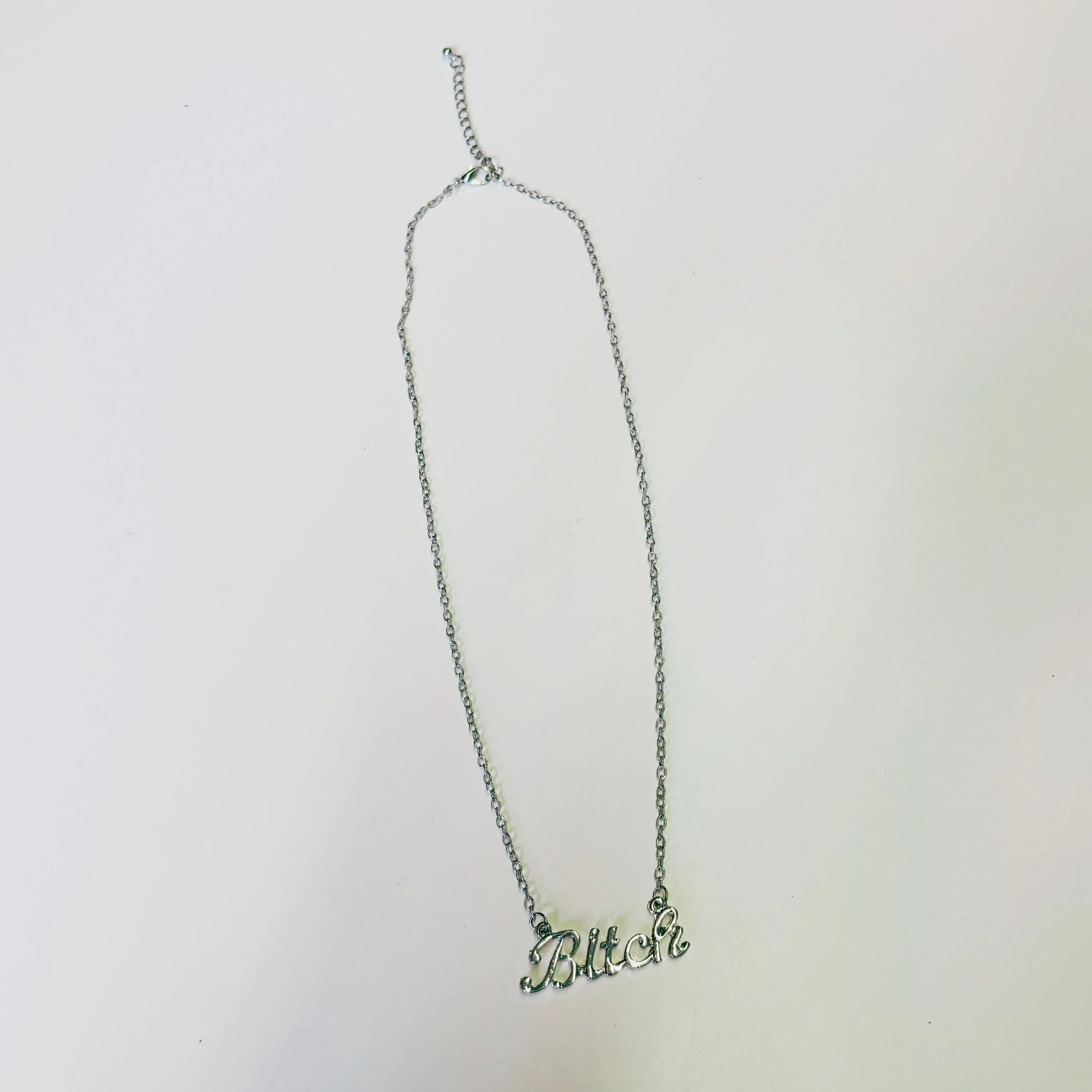 Bitch Script Nameplate Necklace in Silver or Gold - Image 6