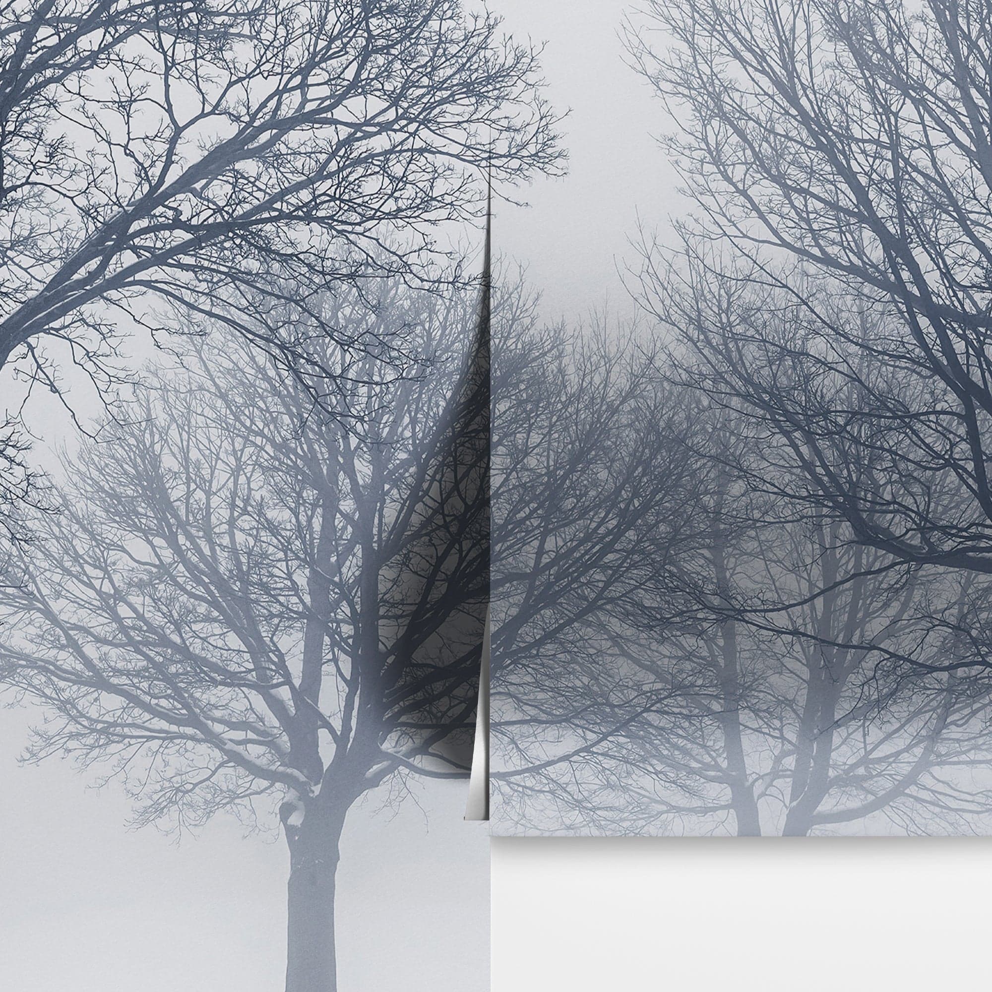 Black and White Snow Covered Trees Winter Landscape Wall Mural. #7042 - Image 11