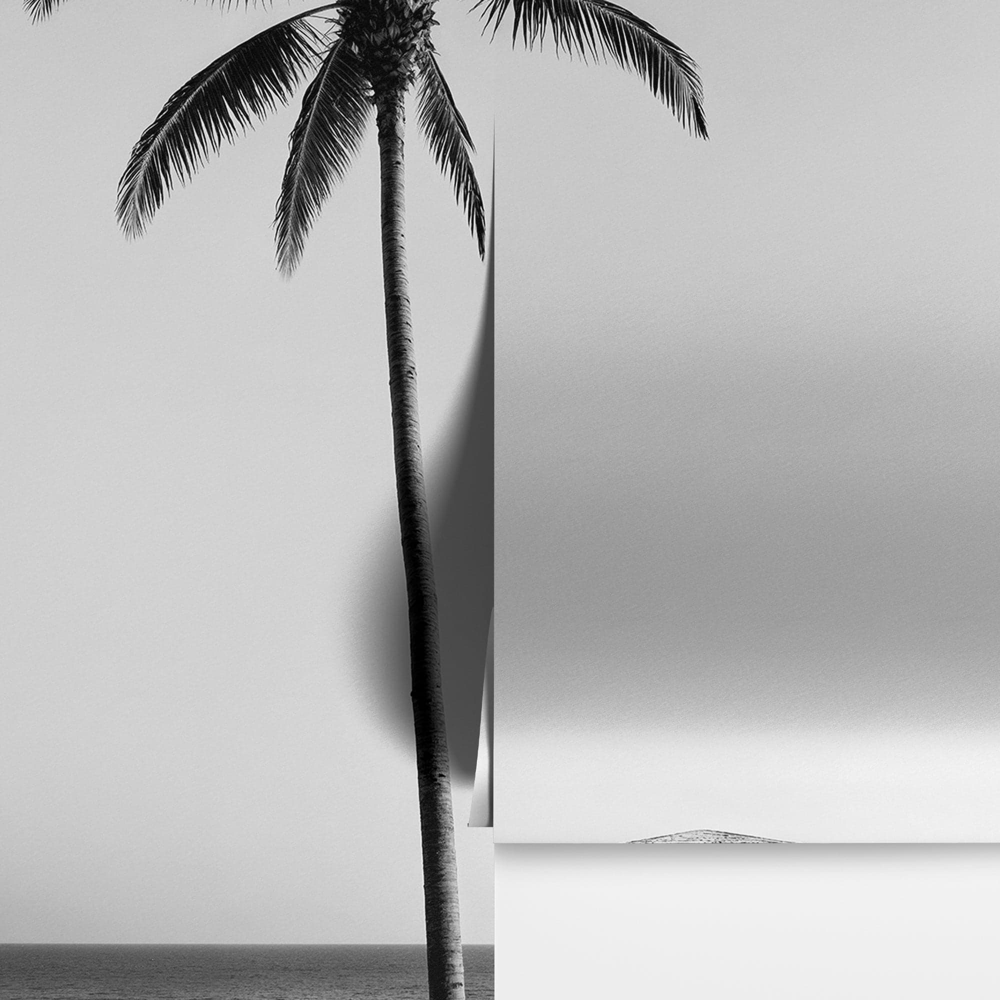 Black & White Tropical Palm Tree Beach Wallpaper Mural. #7015 - Image 7