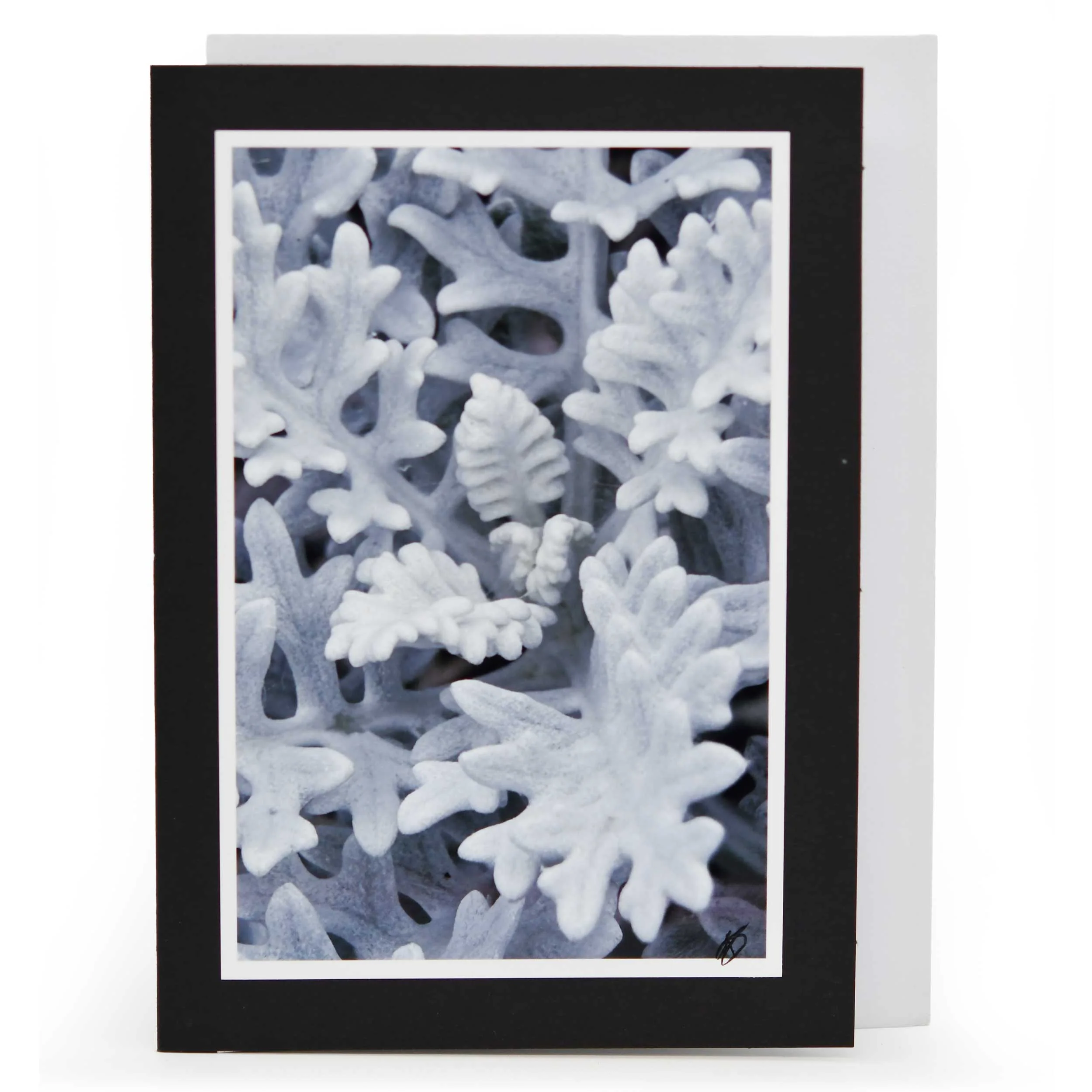 Blank Christmas Greeting Card | Multiple Designs | KJ Made - Image 7